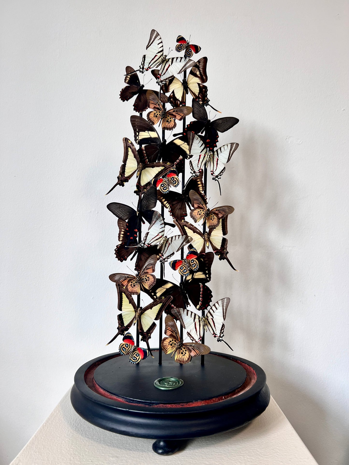 Tail Lights - UC STUDIO
