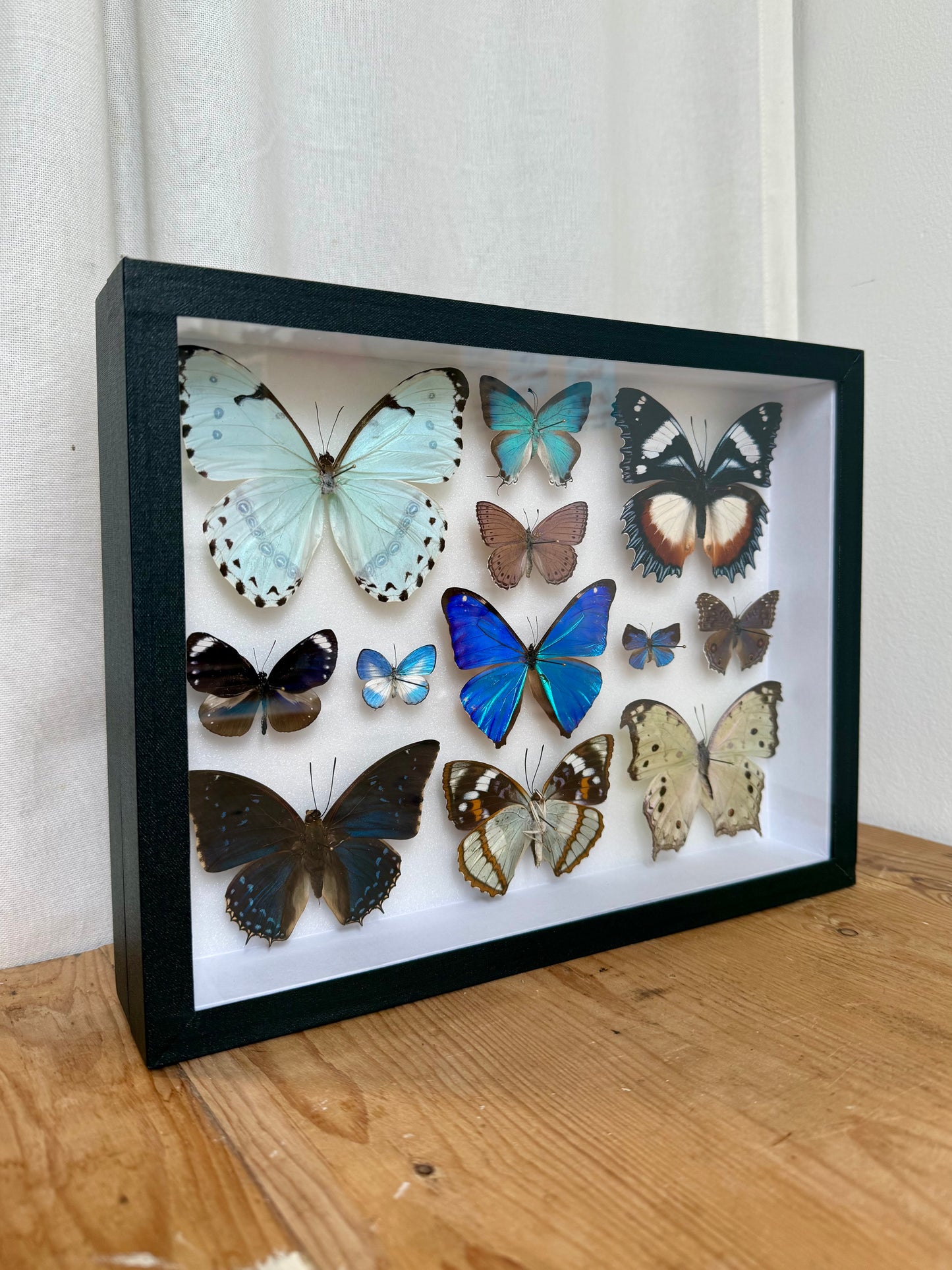 Lilac Hues Collection Frame