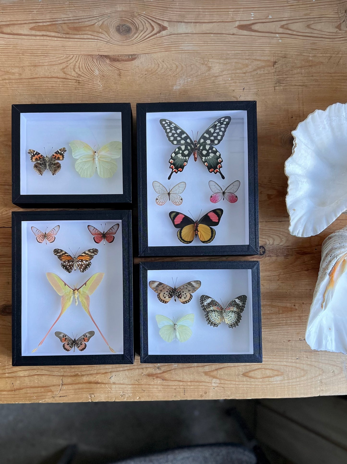 Spring Pastels Assembly - Edition of 2 - UC STUDIO