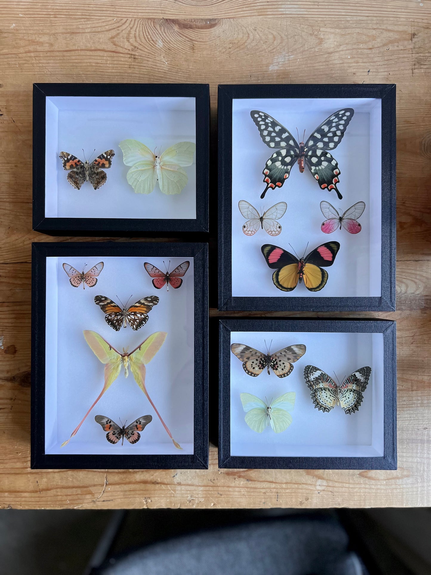 Spring Pastels Assembly - Edition of 2 - UC STUDIO