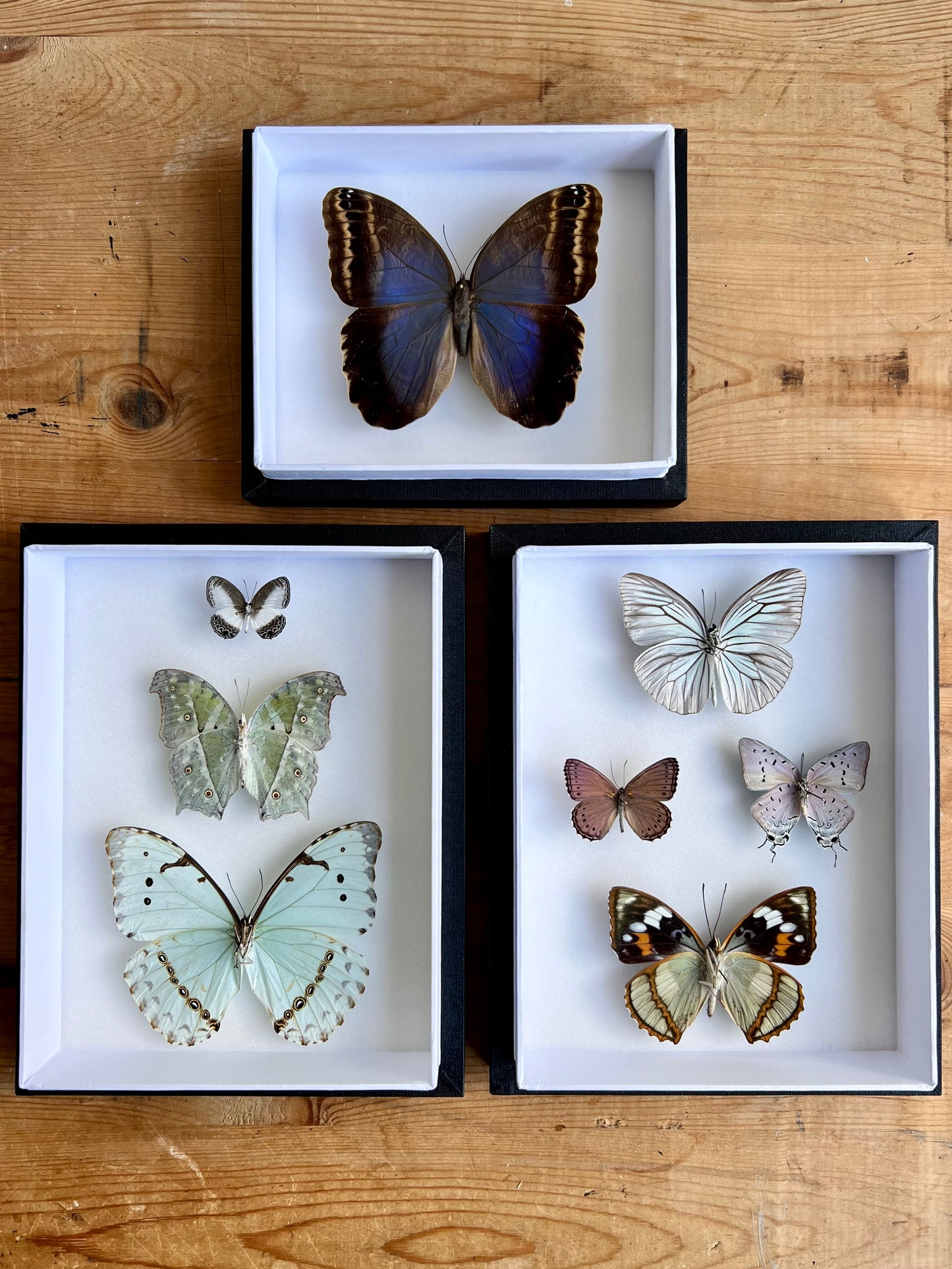 Iridescent Assembly - Edition of 5 - UC STUDIO