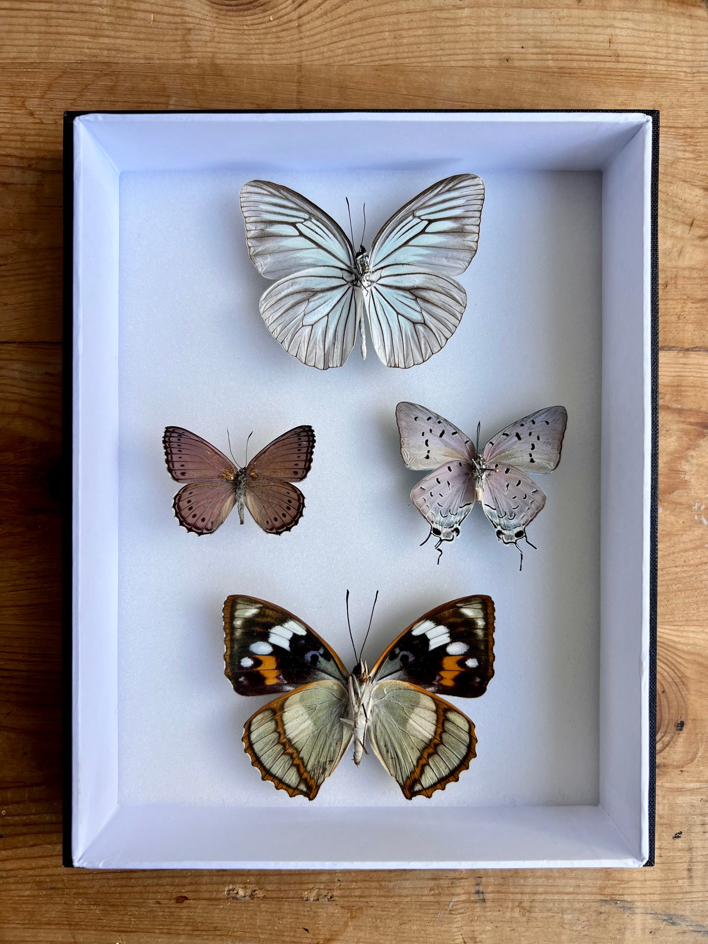 Iridescent Assembly - Edition of 5 - UC STUDIO