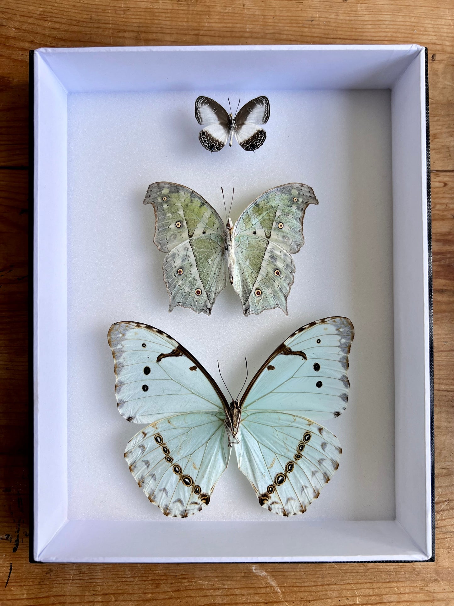 Iridescent Assembly - Edition of 5 - UC STUDIO