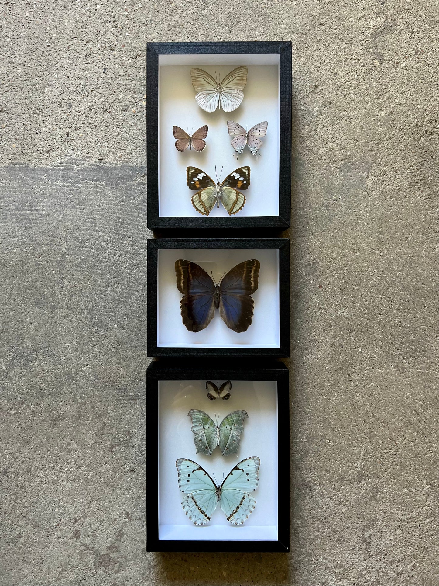 Iridescent Assembly - Edition of 5 - UC STUDIO