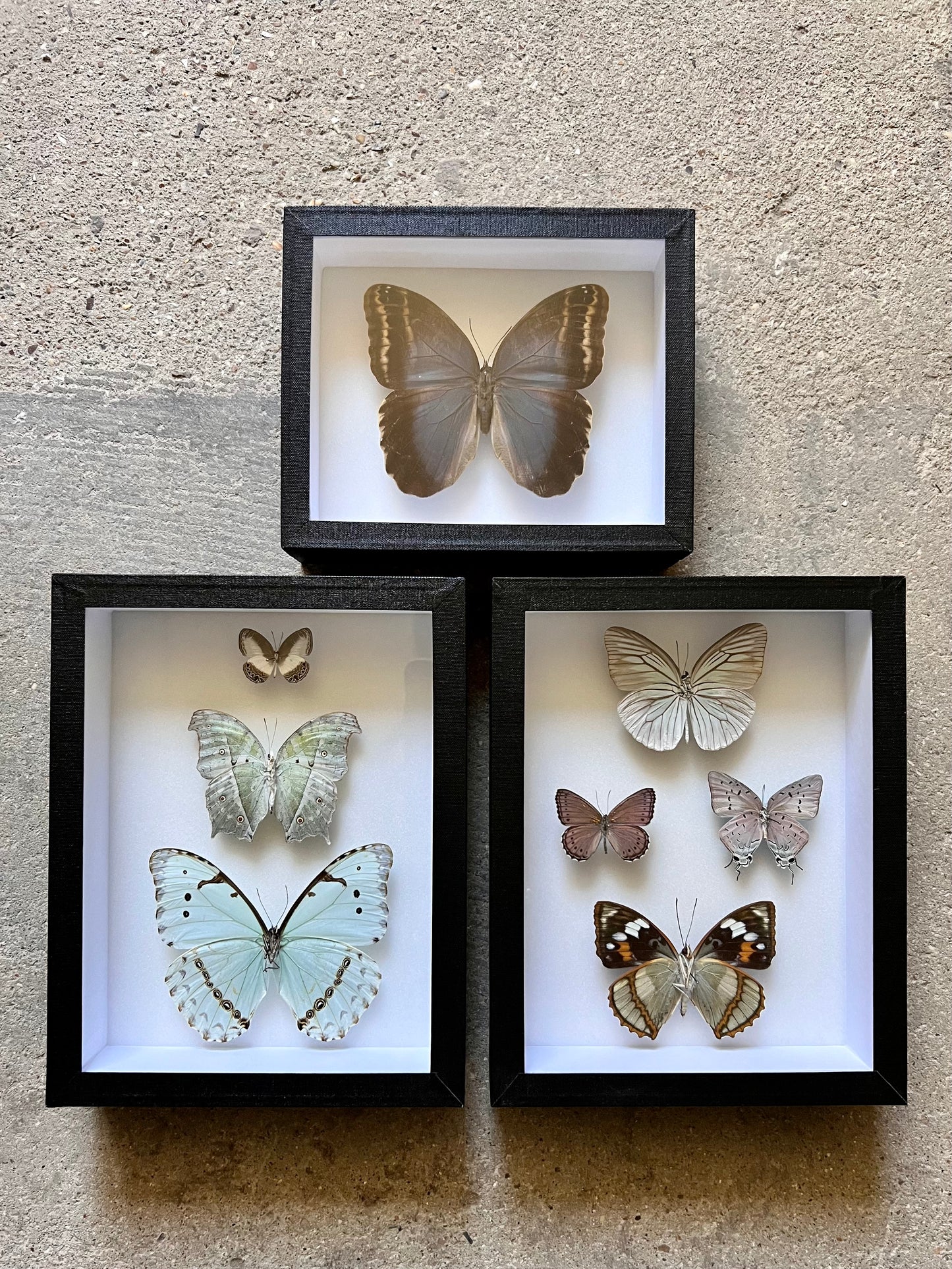 Iridescent Assembly - Edition of 5 - UC STUDIO