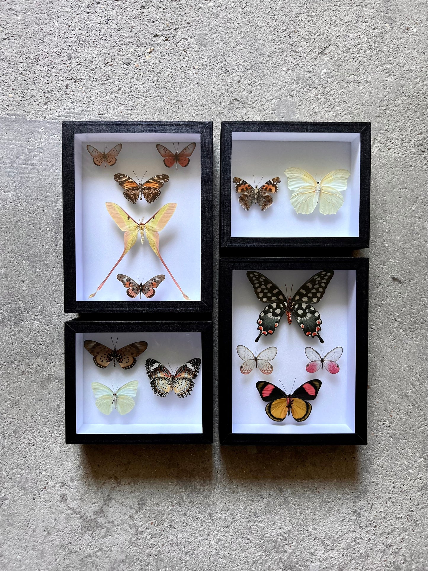Spring Pastels Assembly - Edition of 2 - UC STUDIO