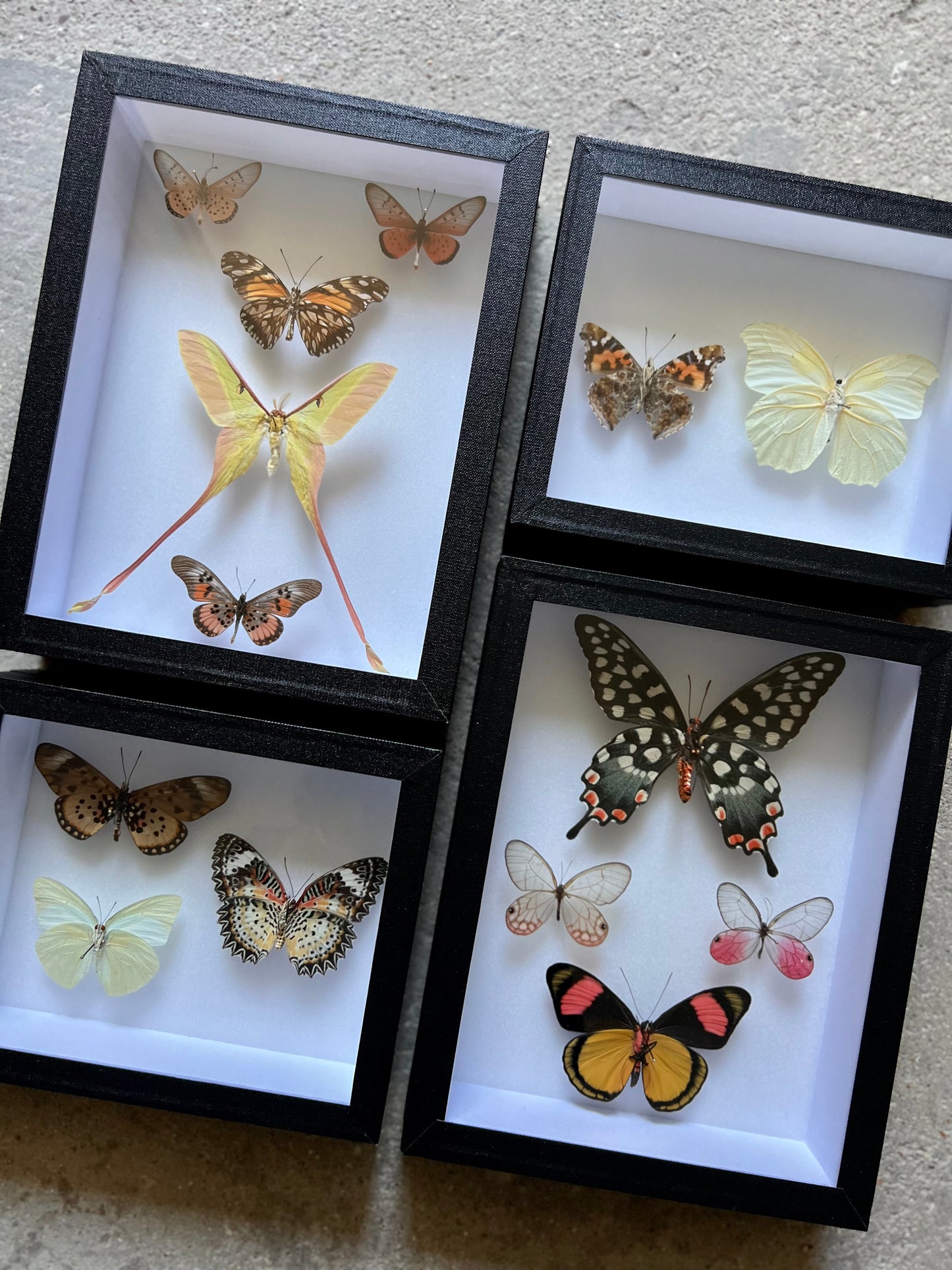 Spring Pastels Assembly - Edition of 2 - UC STUDIO