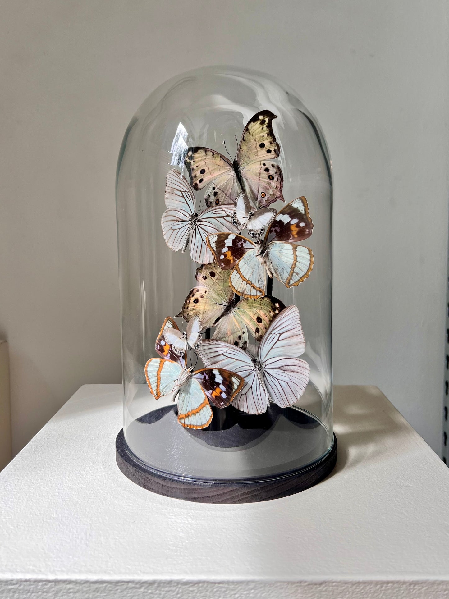 Iridescent Patterns - Edition of 5 - UC STUDIO