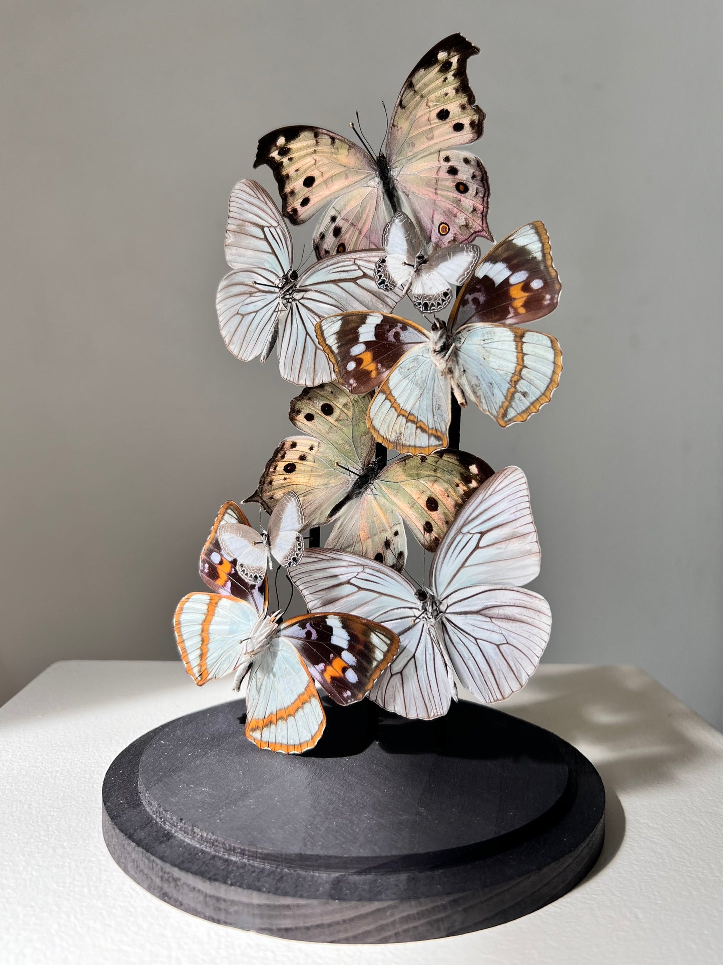 Iridescent Patterns - Edition of 5 - UC STUDIO
