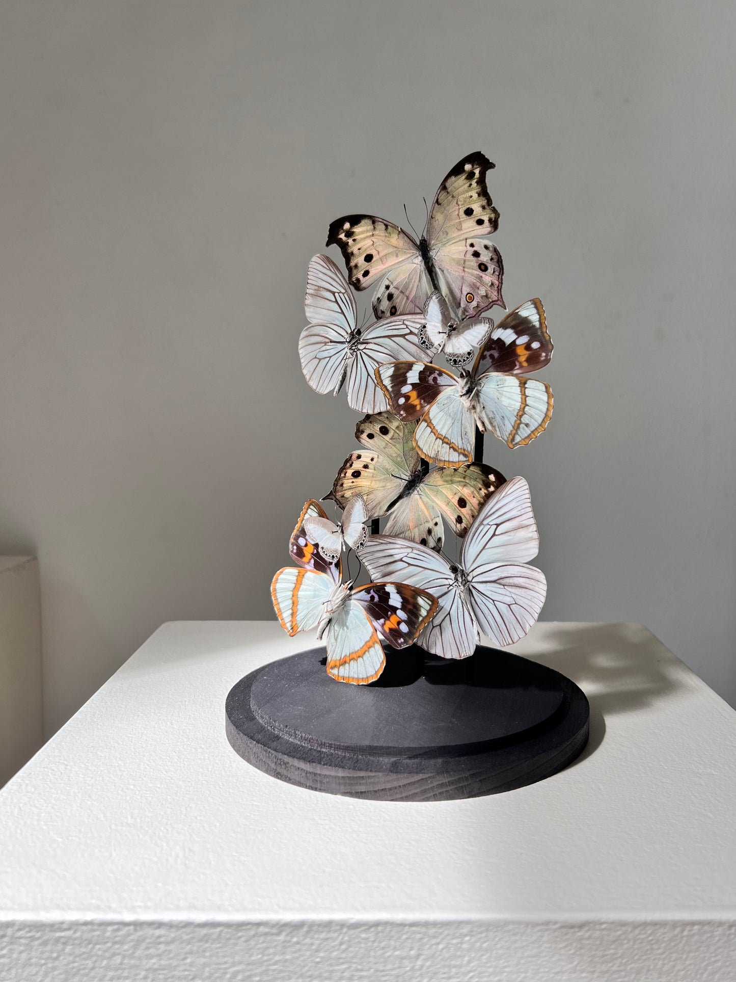 Iridescent Patterns - Edition of 5 - UC STUDIO