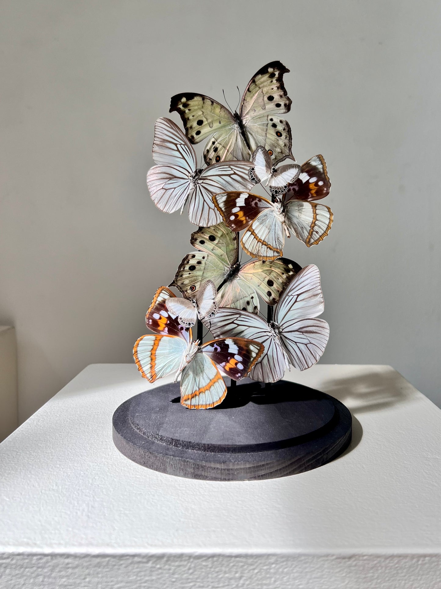 Iridescent Patterns - Edition of 5 - UC STUDIO