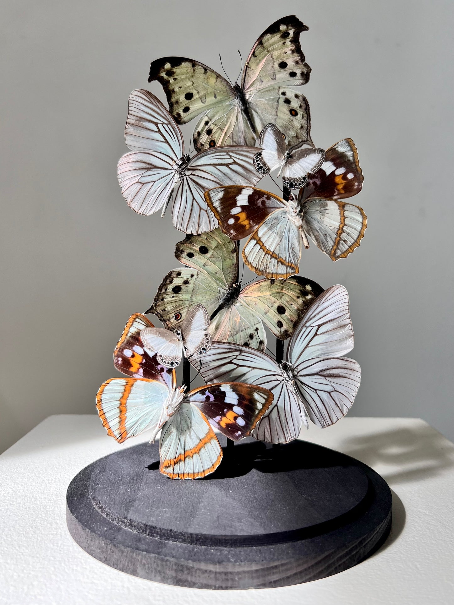 Iridescent Patterns - Edition of 5 - UC STUDIO