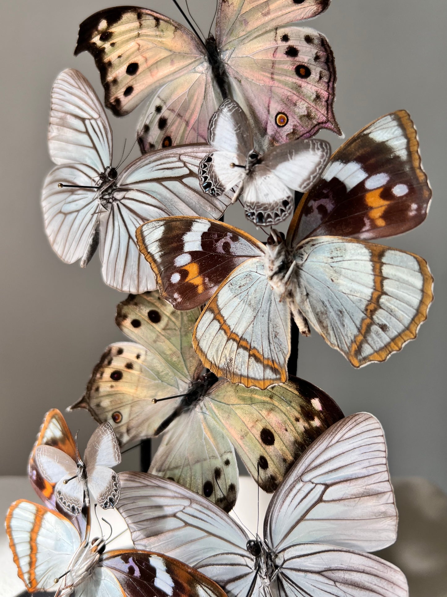 Iridescent Patterns - Edition of 5 - UC STUDIO