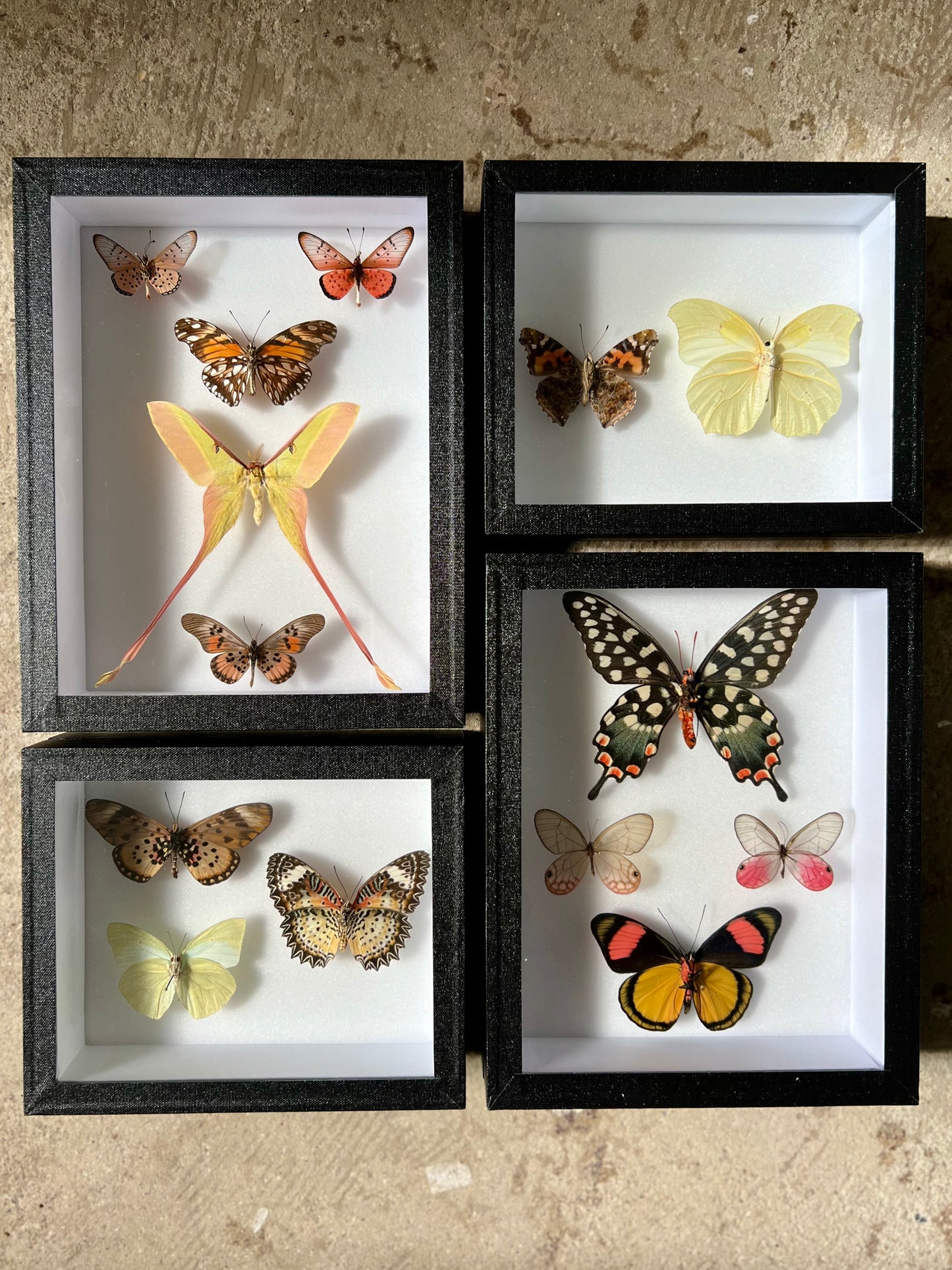 Spring Pastels Assembly - Edition of 2 - UC STUDIO