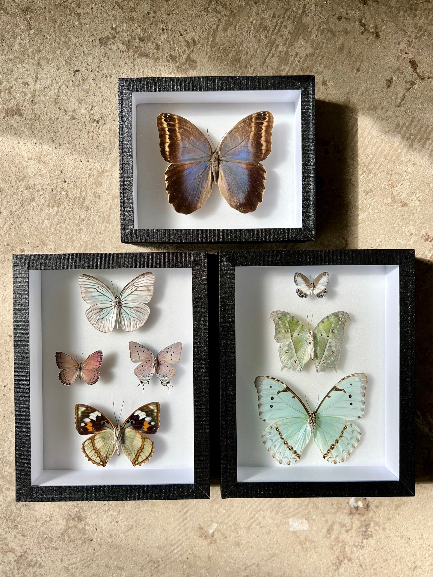 Iridescent Assembly - Edition of 5 - UC STUDIO