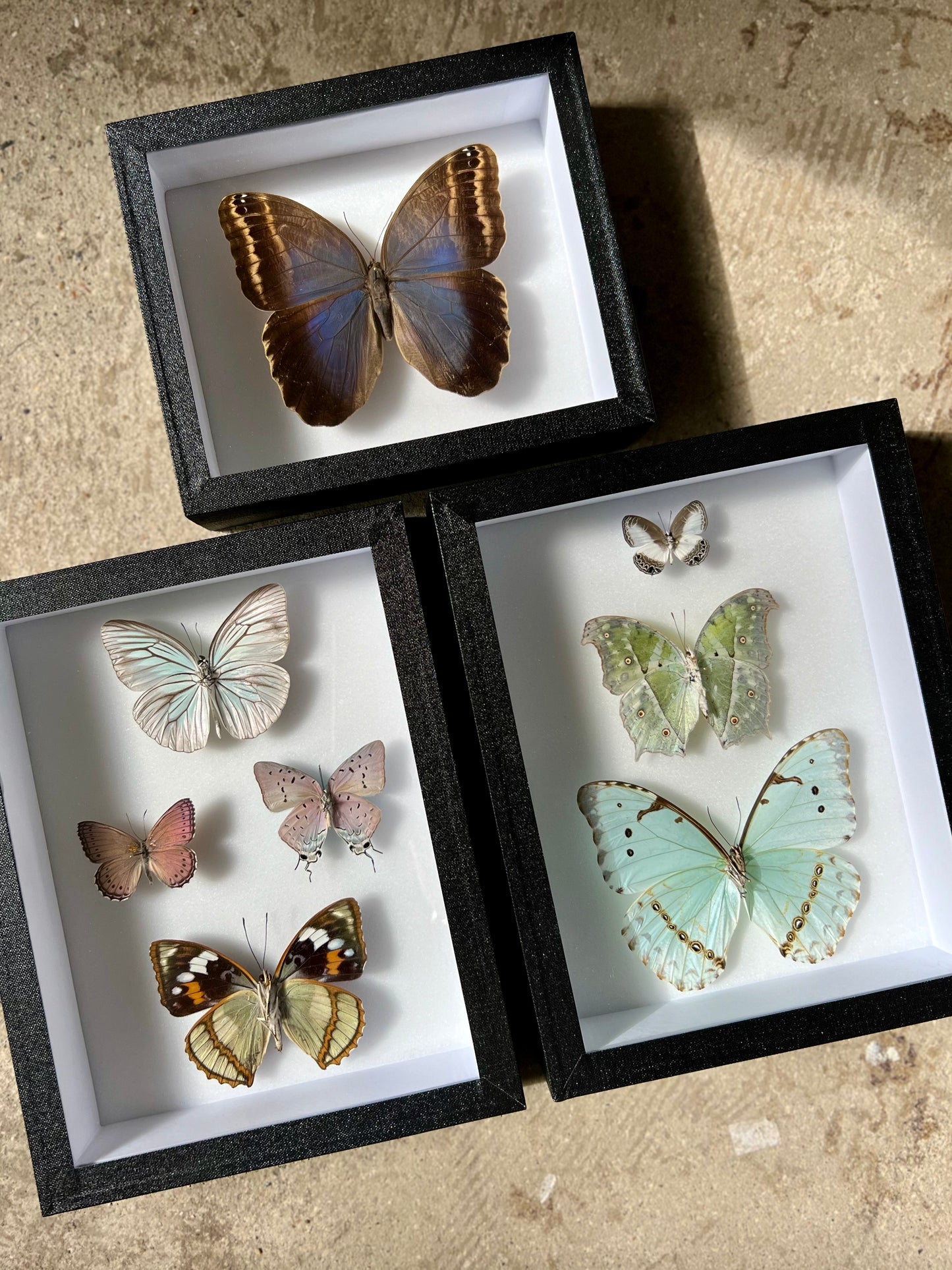 Iridescent Assembly - Edition of 5 - UC STUDIO