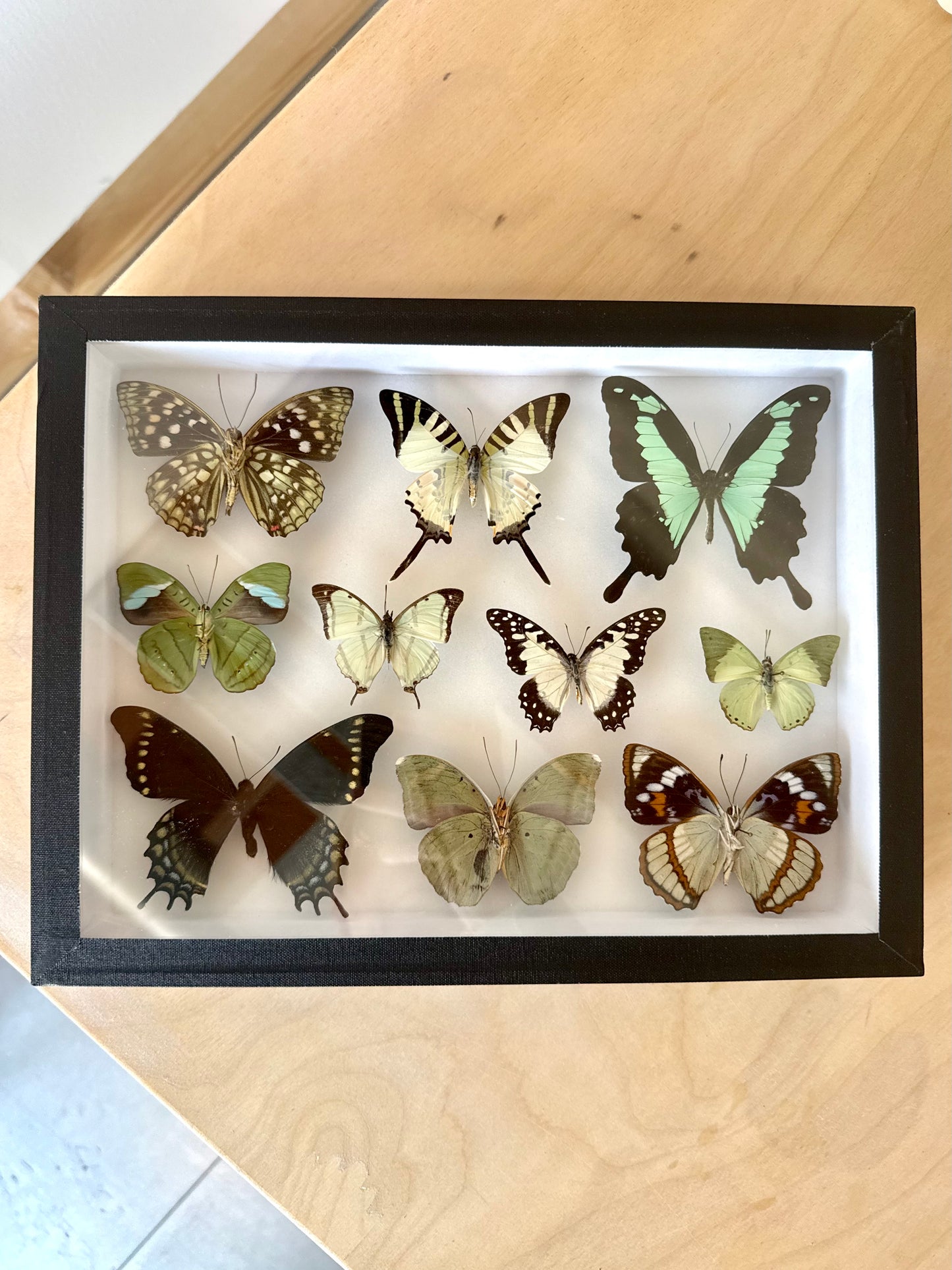 Verdant Dreams Collection Frame