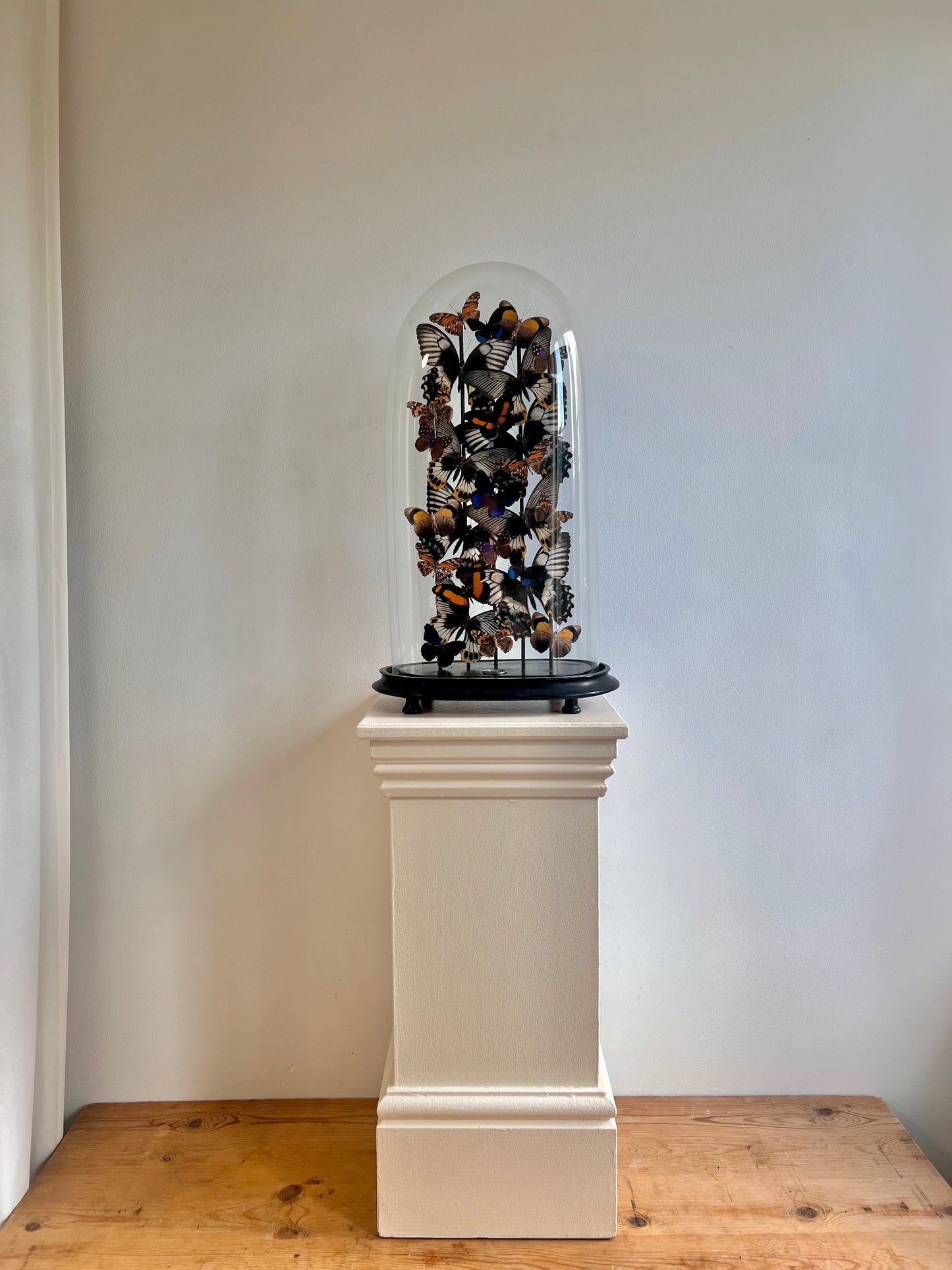 Detailed Giants - UC STUDIO