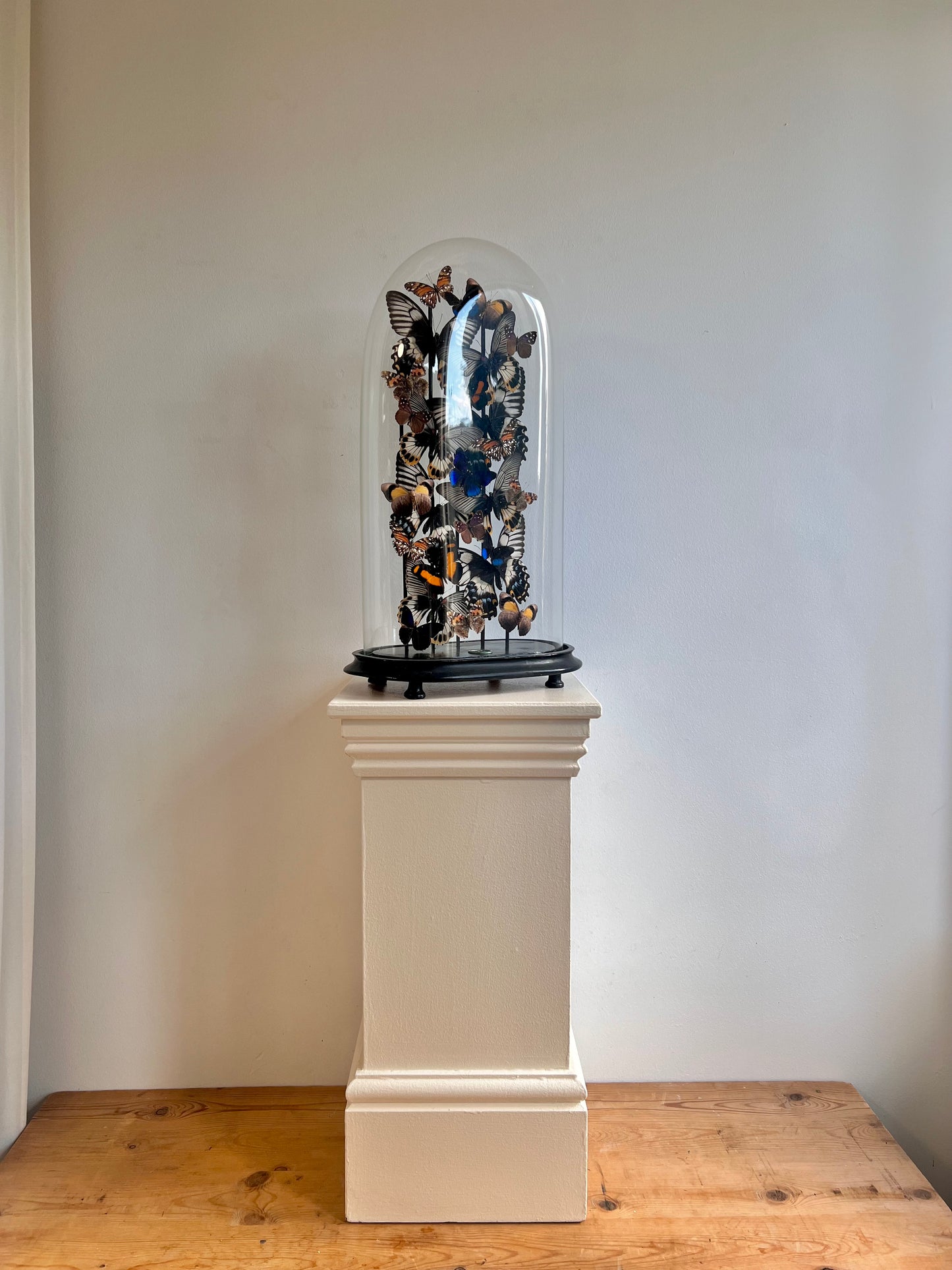 Detailed Giants - UC STUDIO