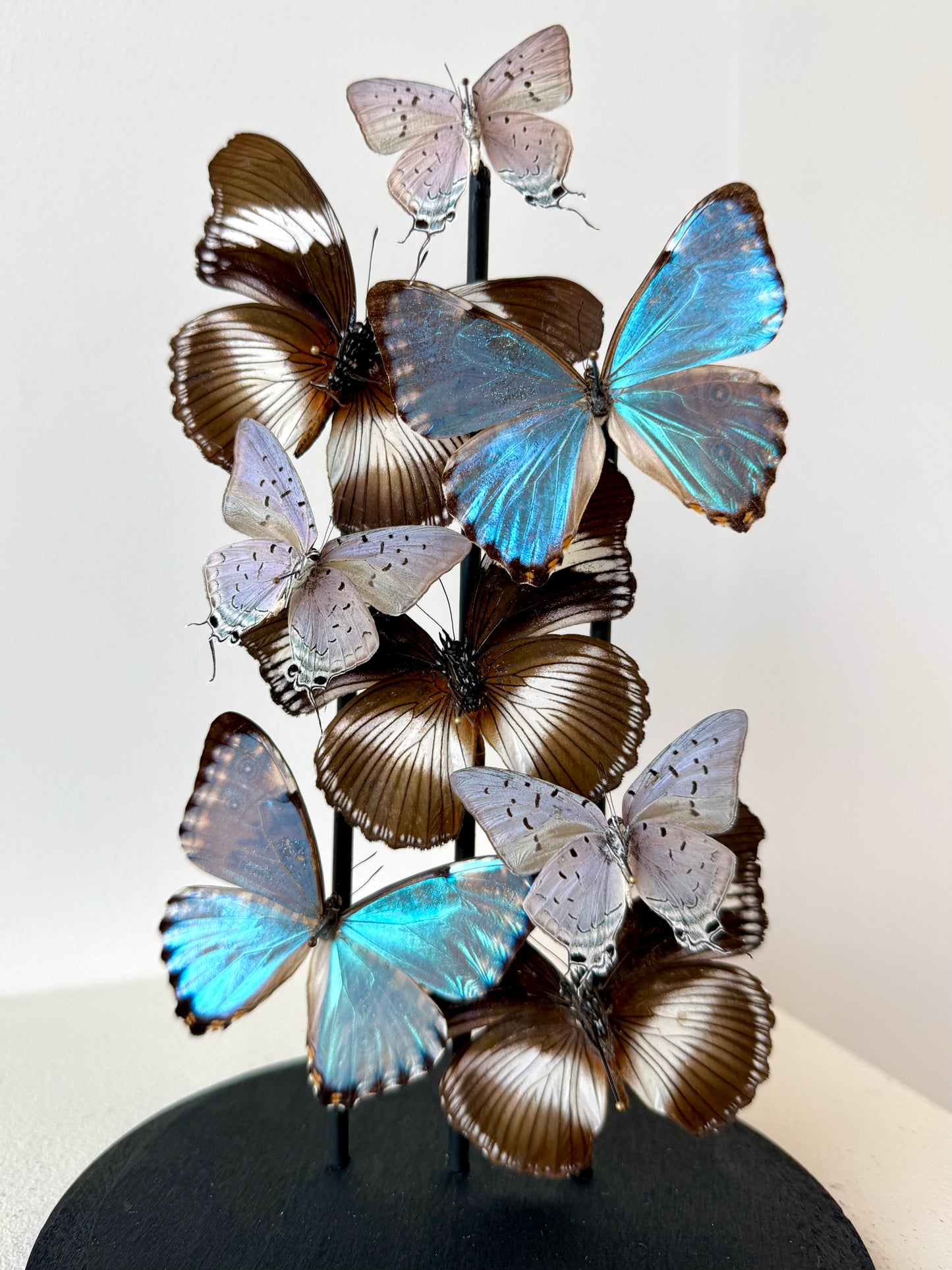 Just Breathe - UC STUDIO