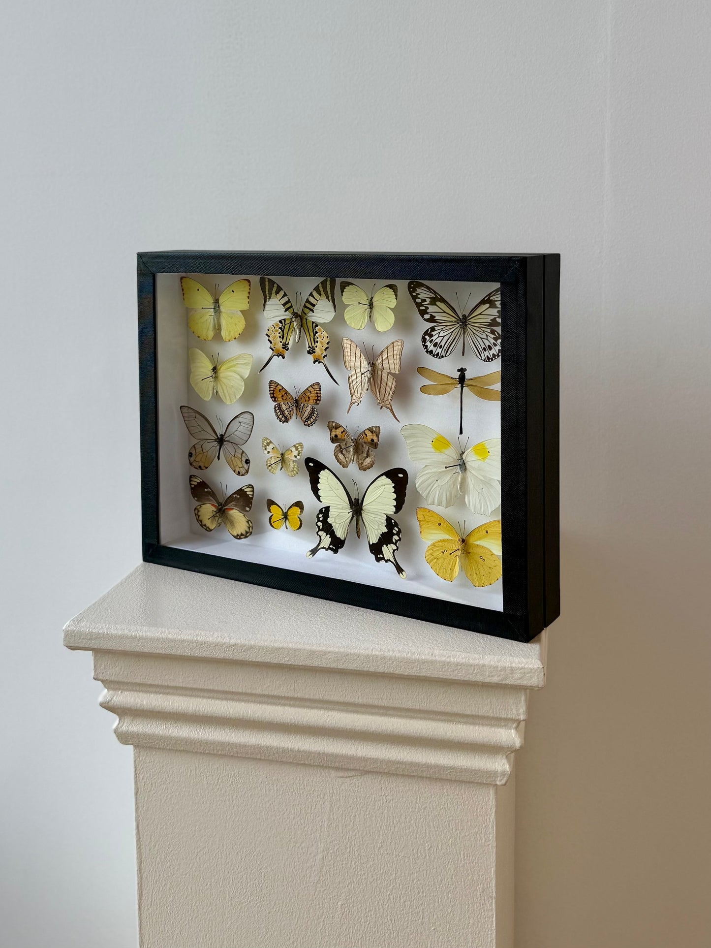 Sunshine Collection Frame - UC STUDIO