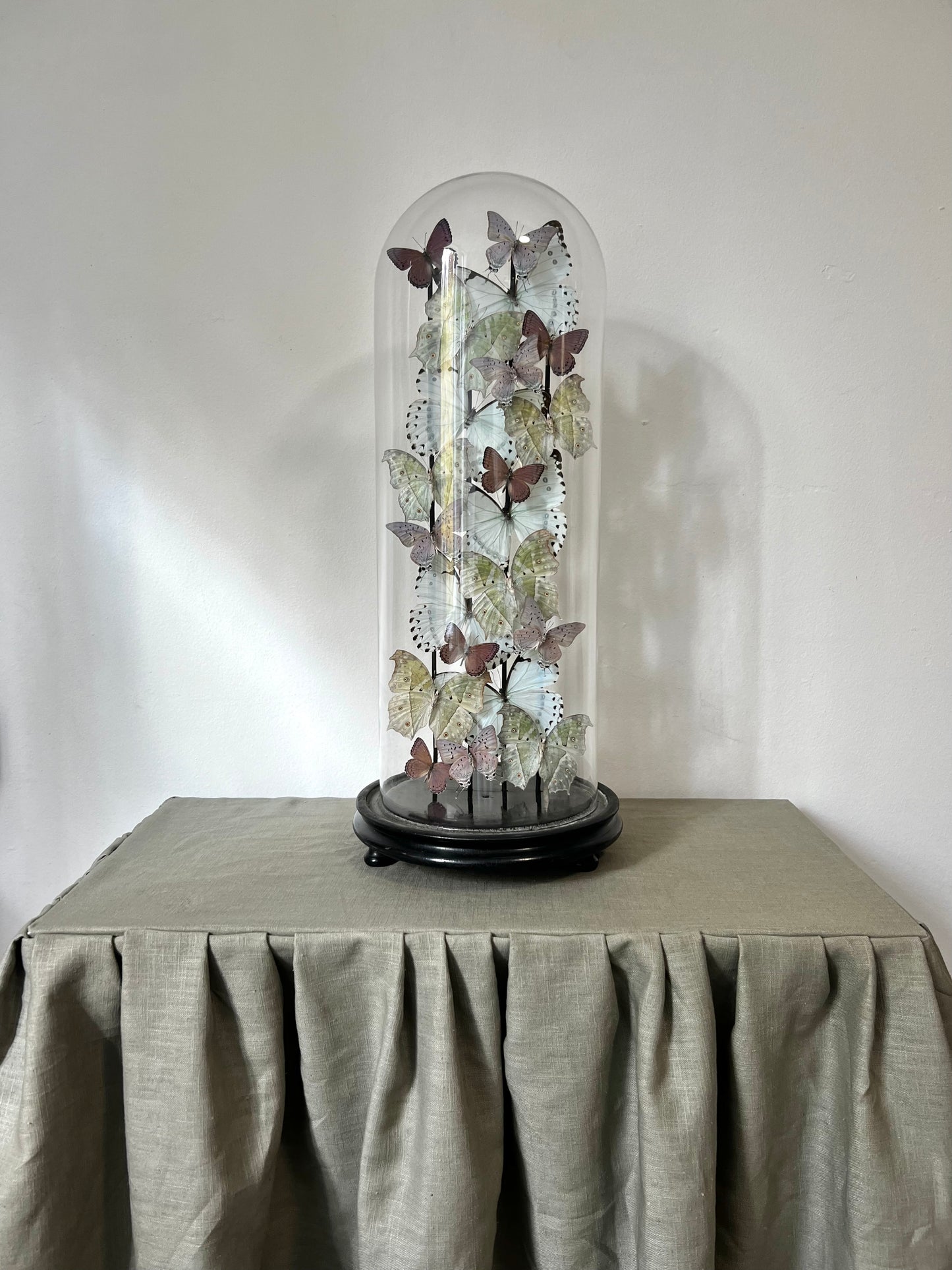 Iridescent Lilacs - UC STUDIO
