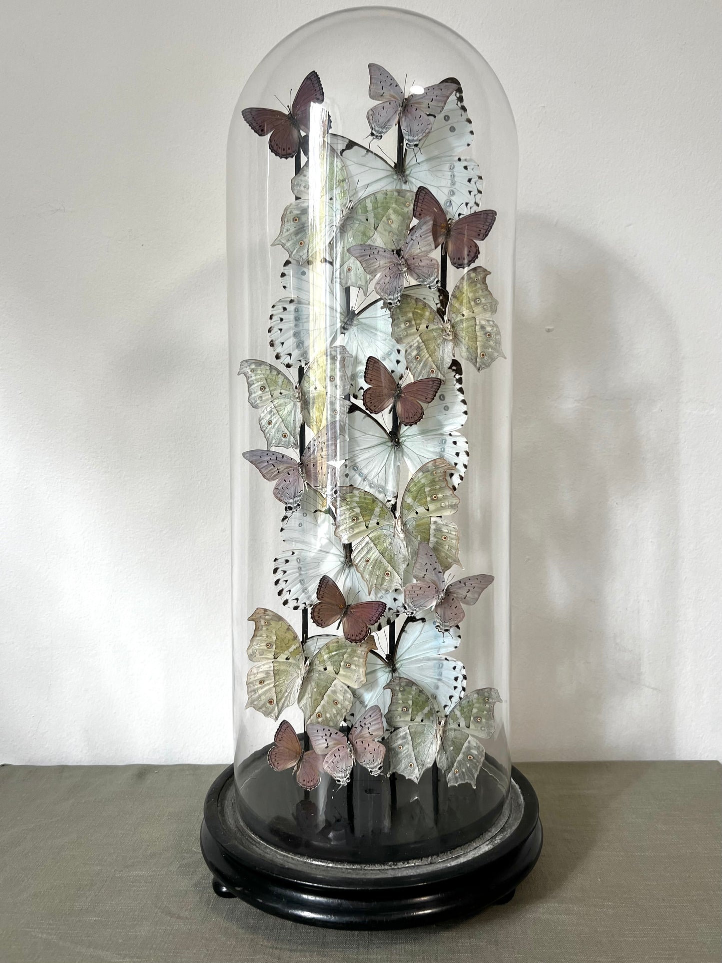 Iridescent Lilacs - UC STUDIO