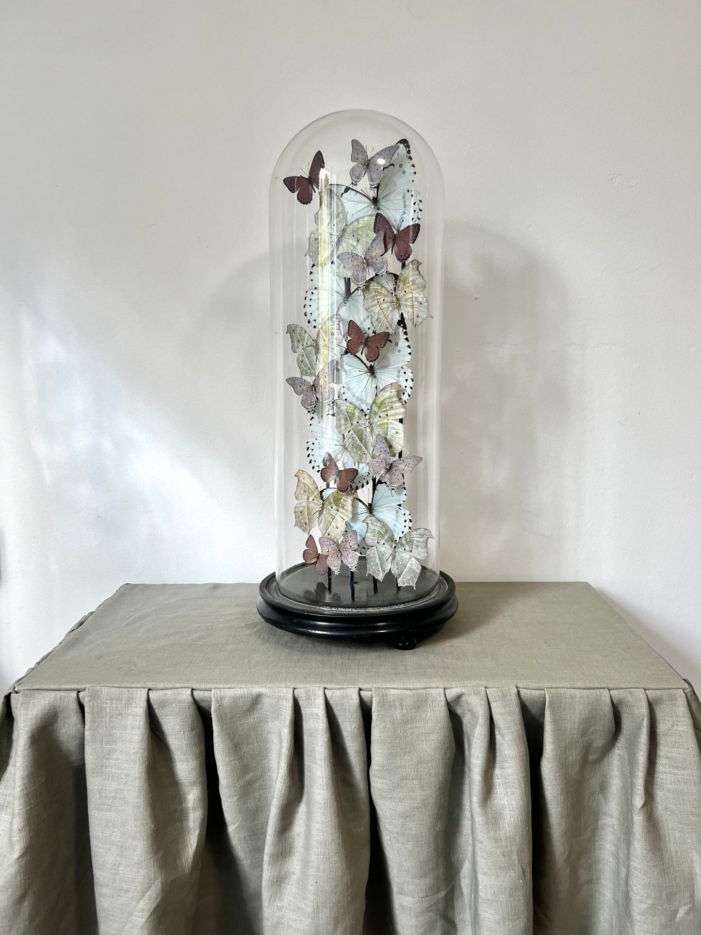 Iridescent Lilacs - UC STUDIO