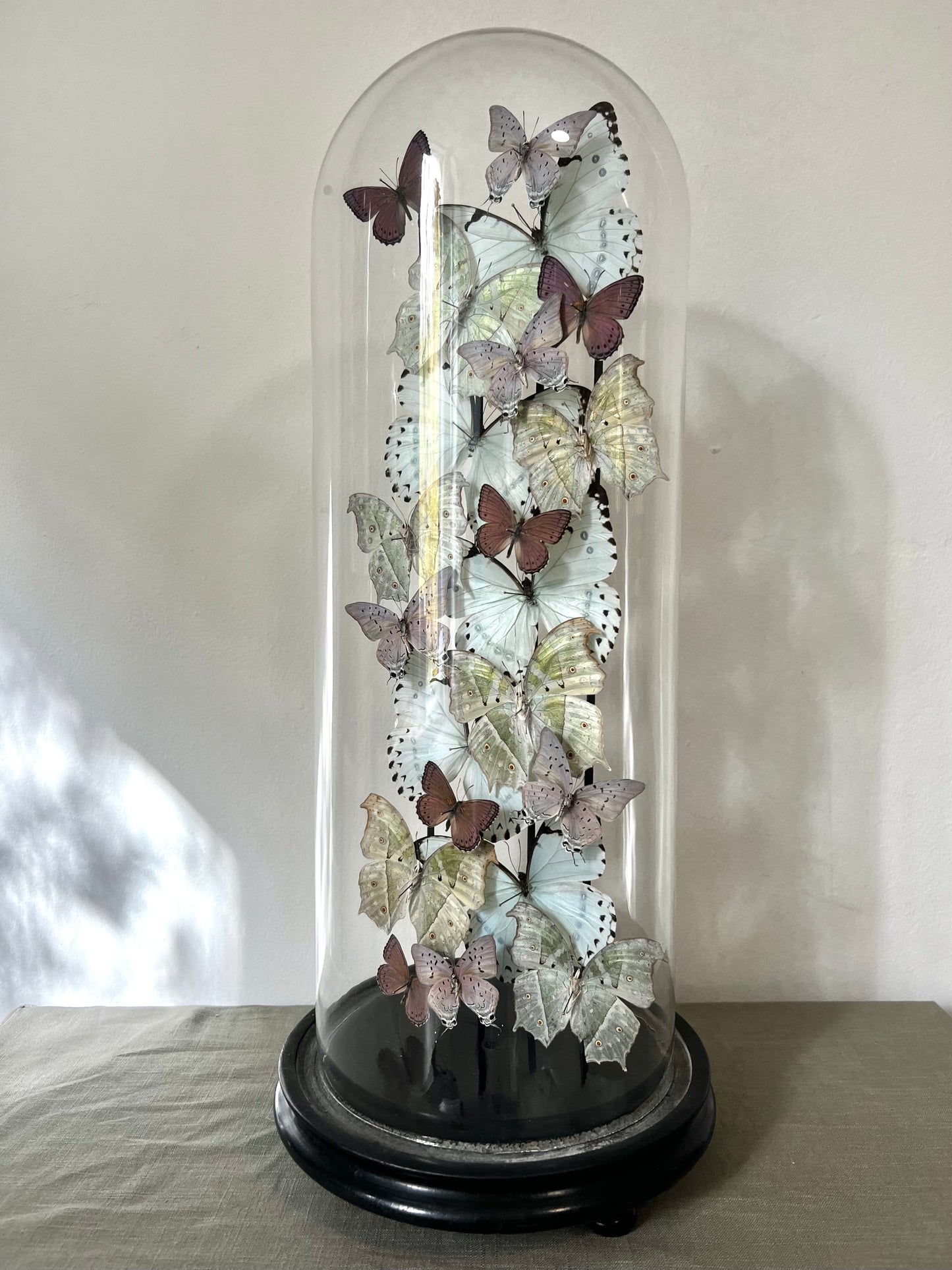 Iridescent Lilacs - UC STUDIO