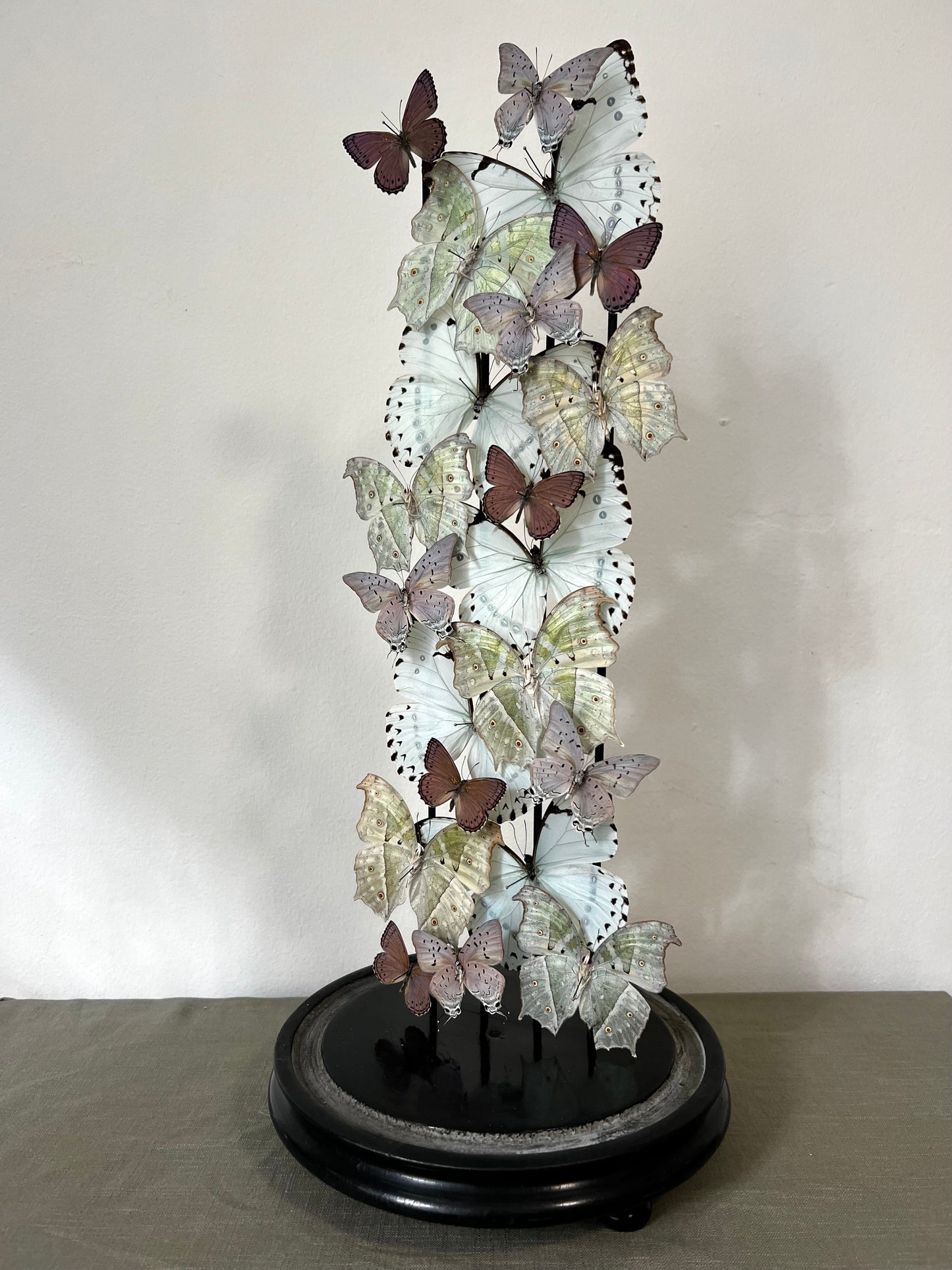 Iridescent Lilacs - UC STUDIO