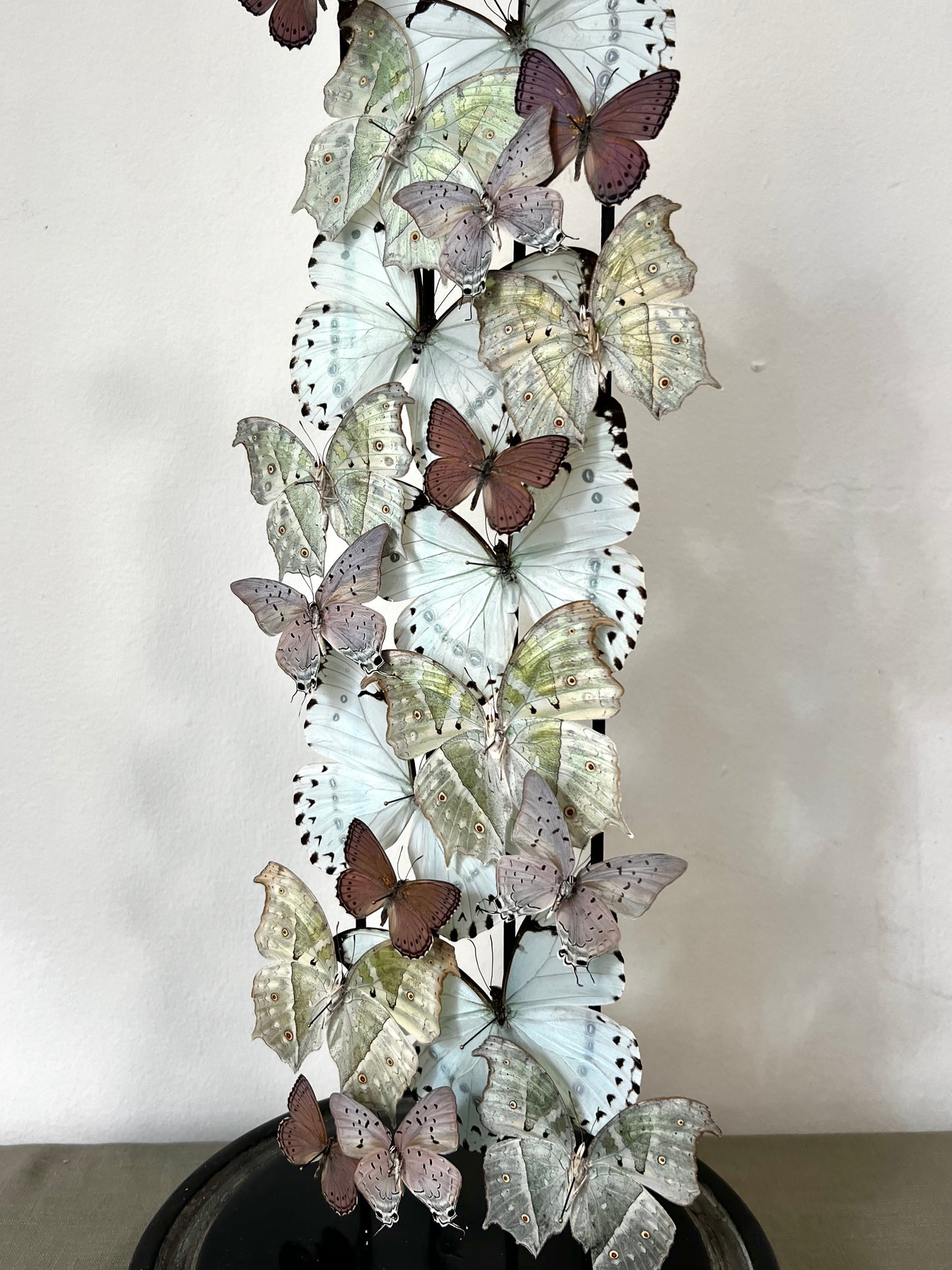 Iridescent Lilacs - UC STUDIO
