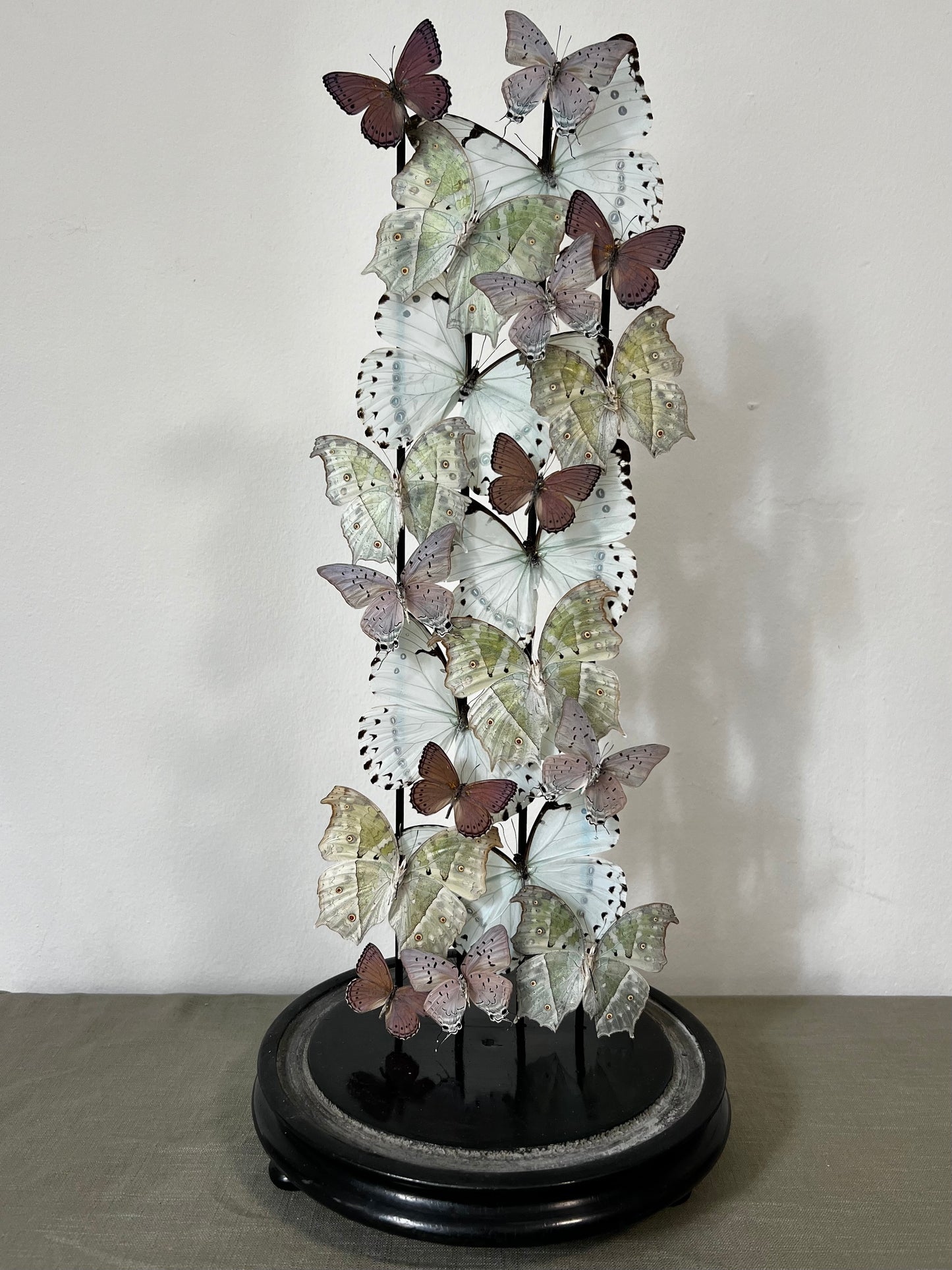 Iridescent Lilacs - UC STUDIO