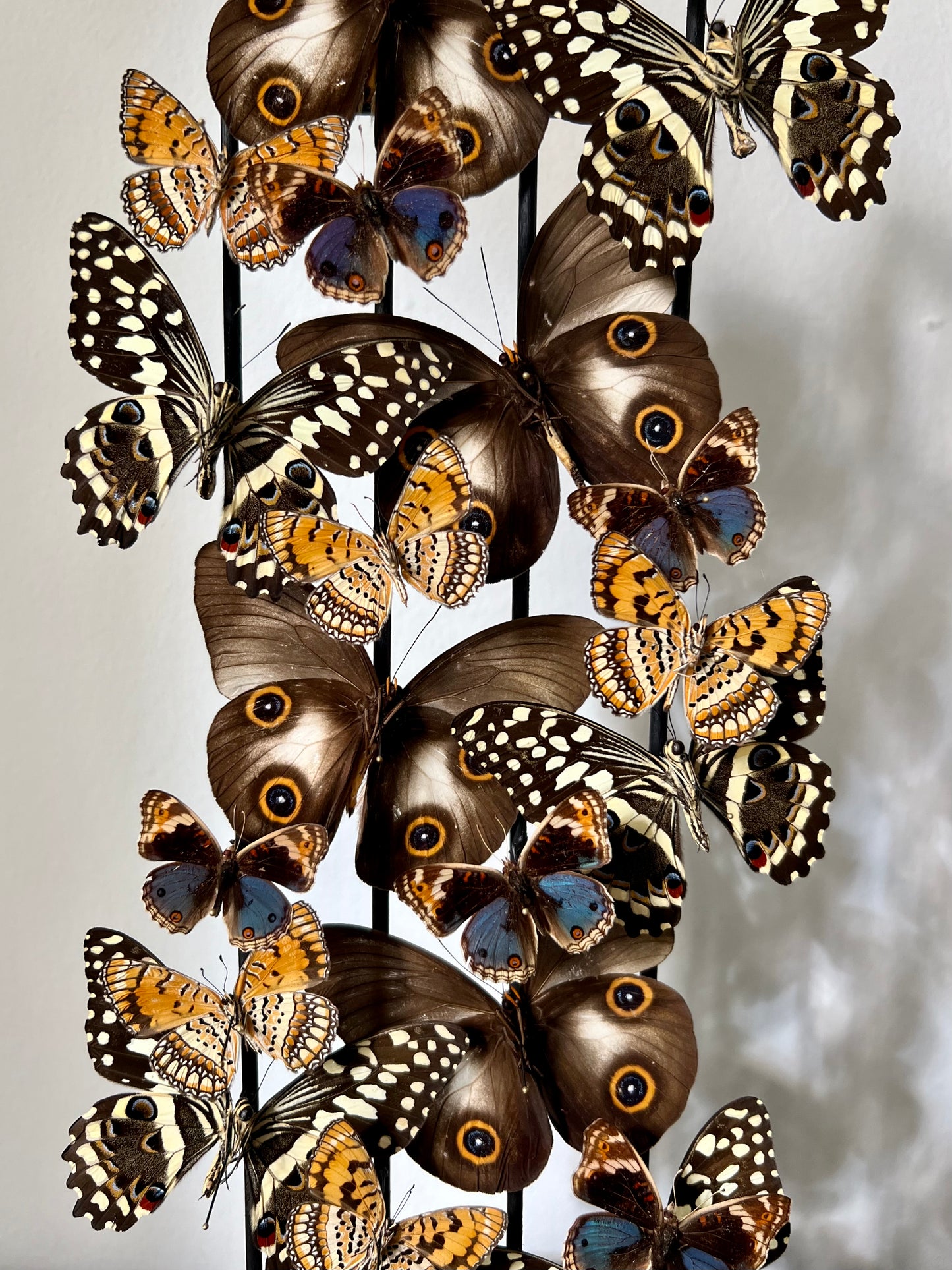Patterned Play
