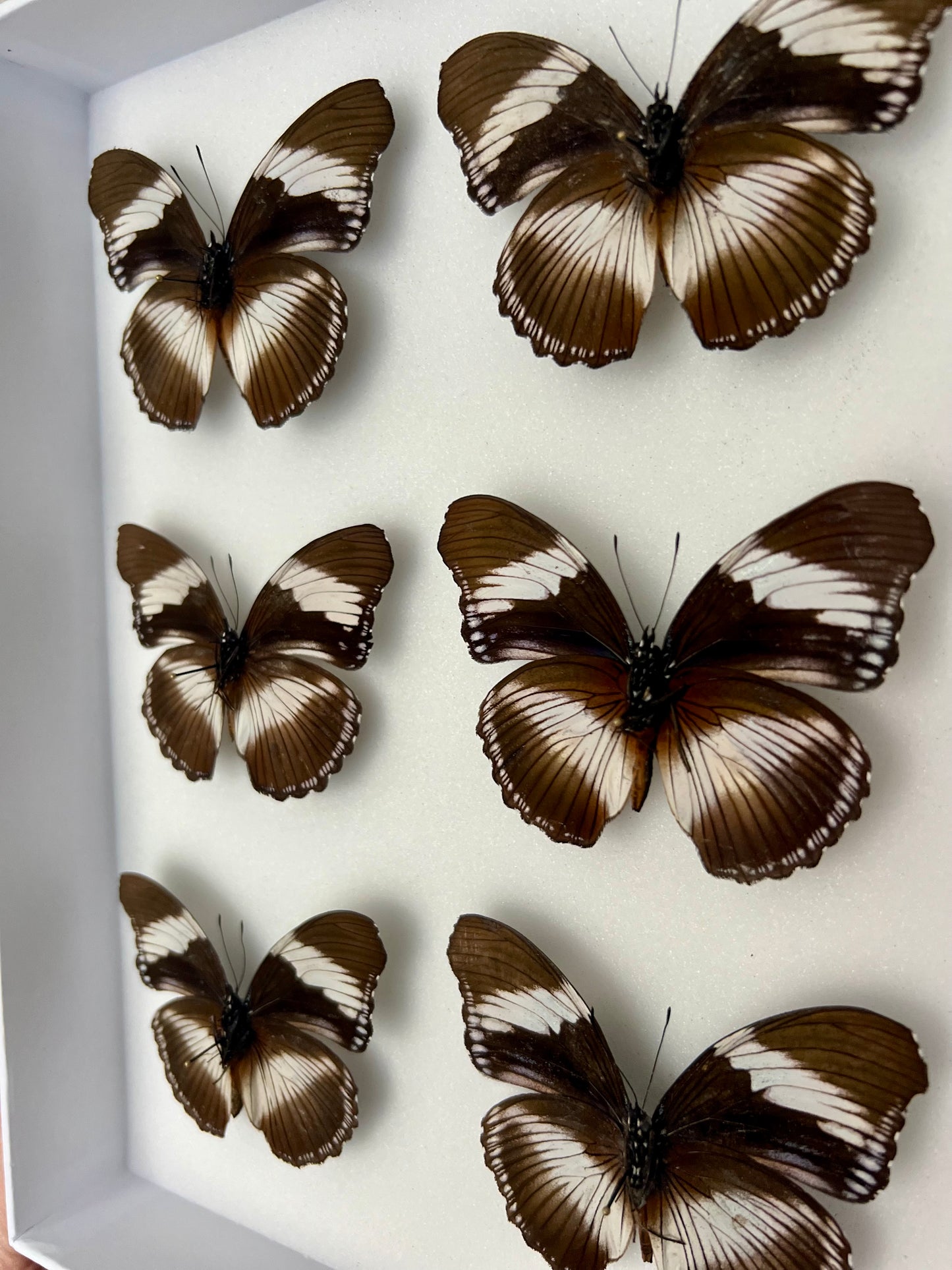 Patterns