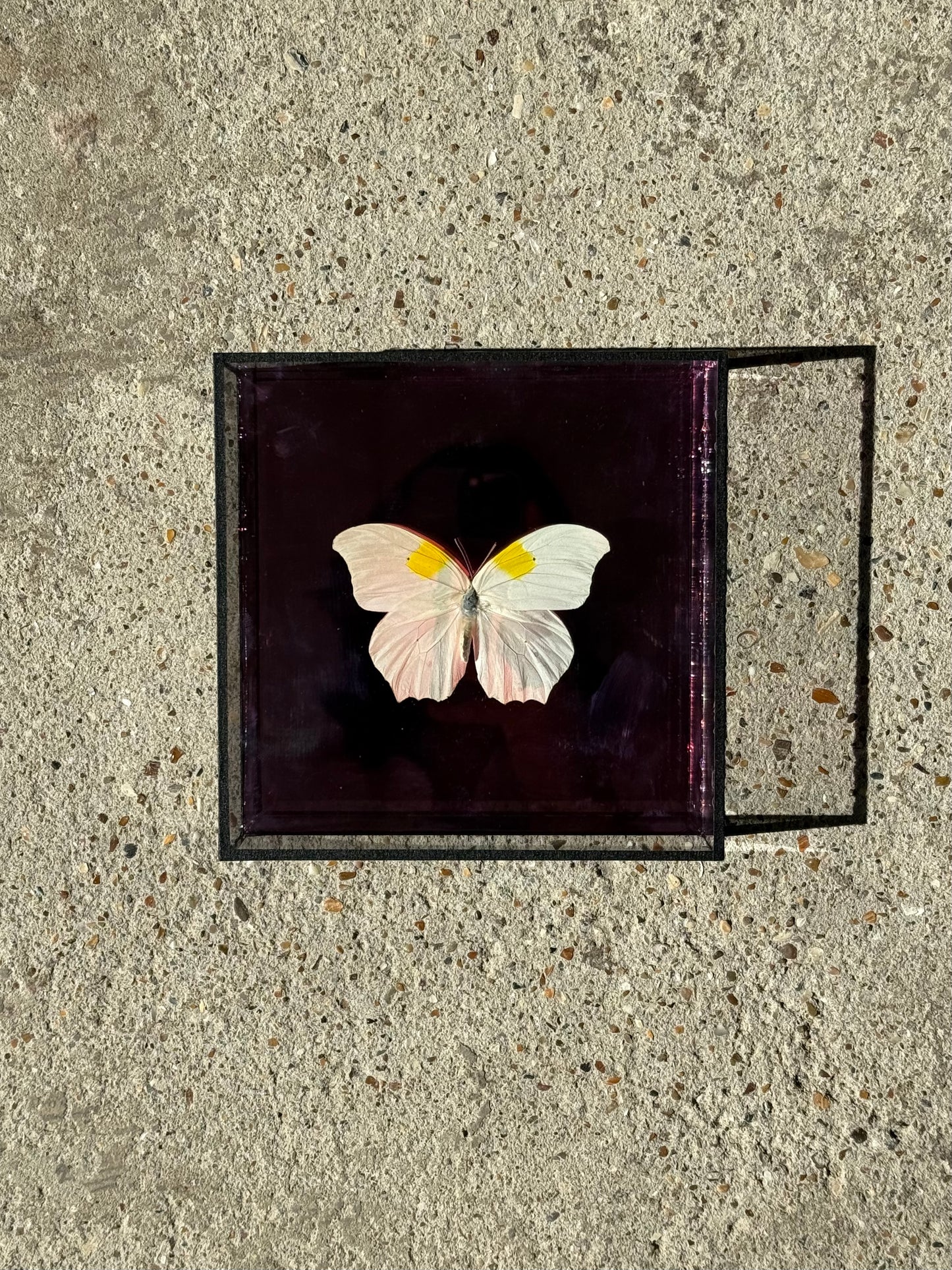 Bright Butterfly Frame - Mirror Pink
