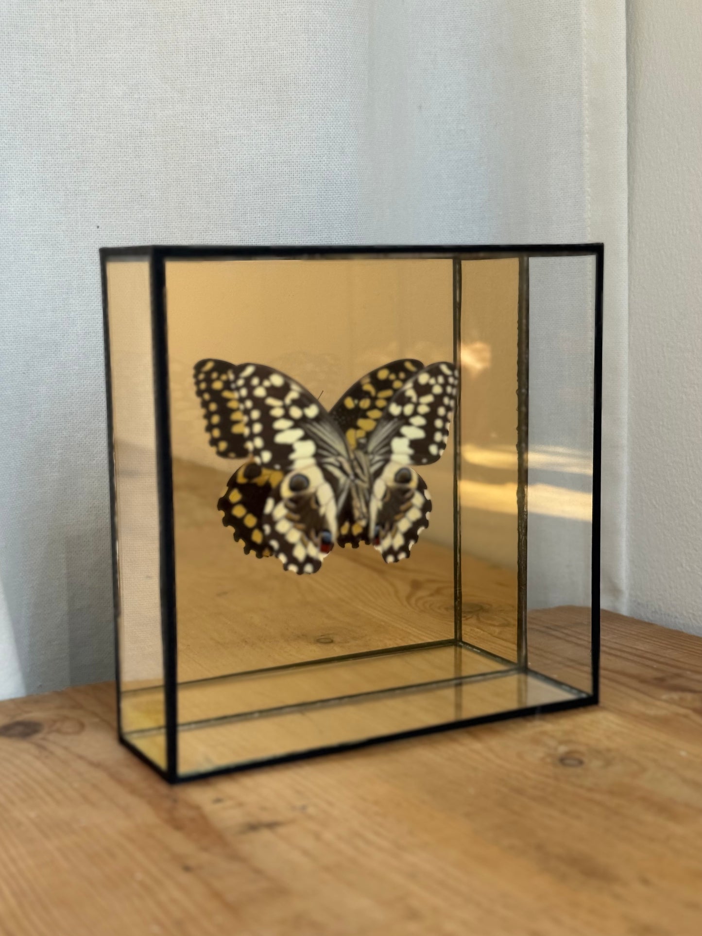 Bright Butterfly Frame - Mirror Gold
