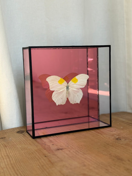 Bright Butterfly Frame - Mirror Pink