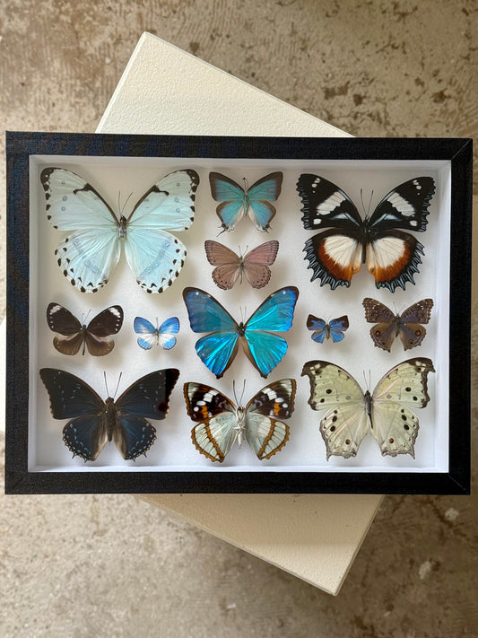 Lilac Hues Collection Frame
