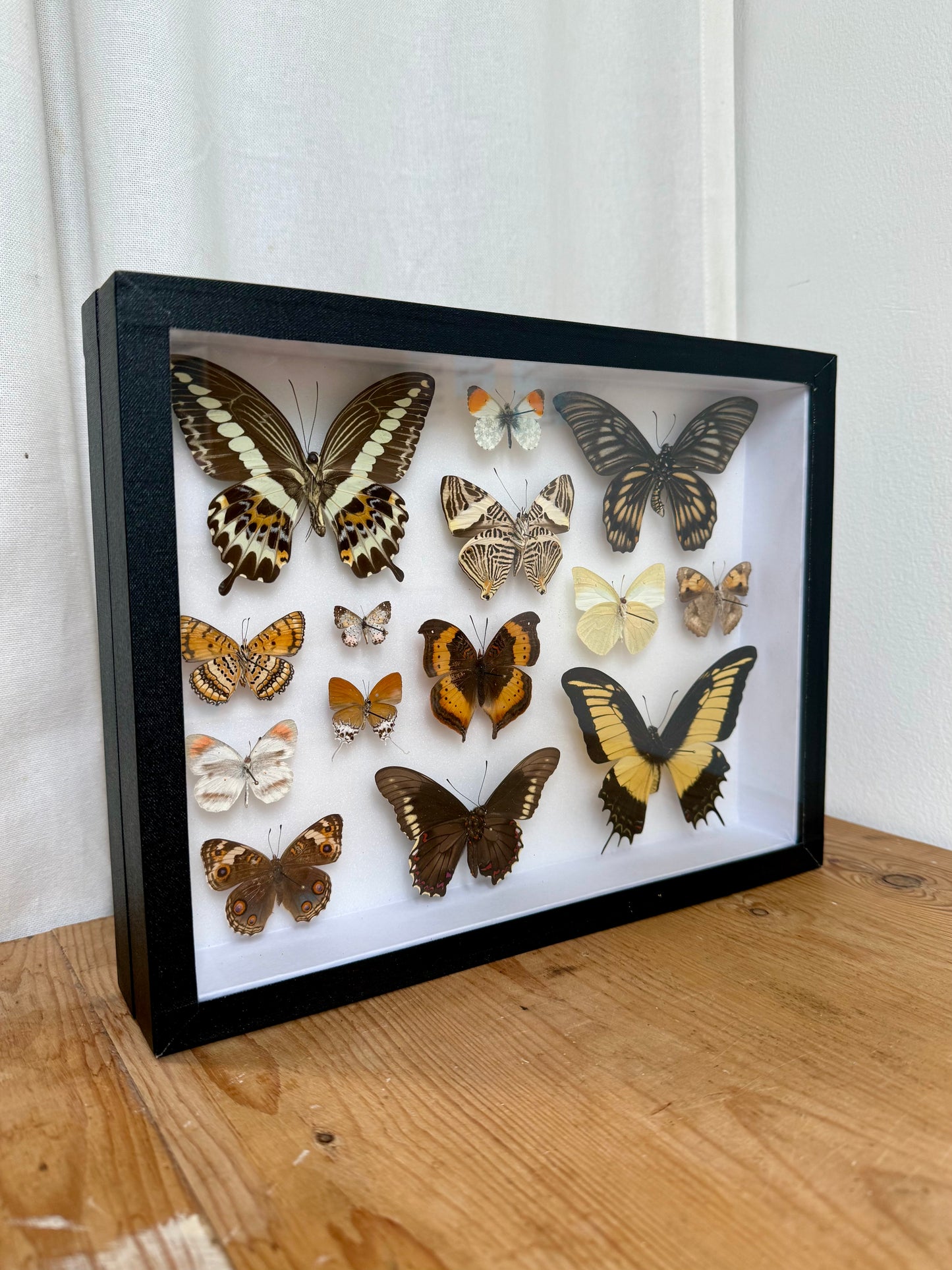 Neutral Hues Collection Frame