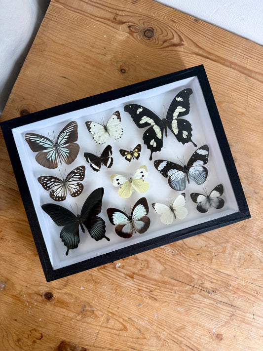 Black & White Collection Frame - UC STUDIO