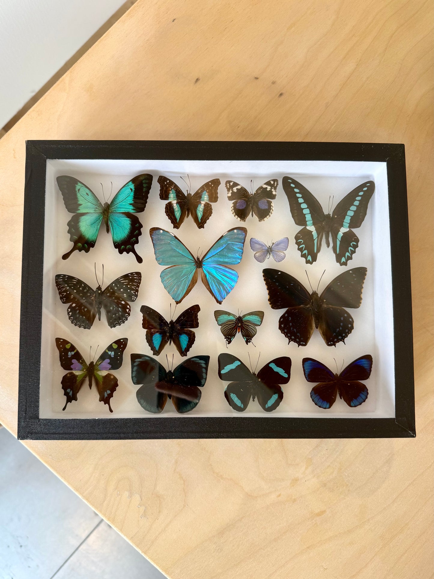 Tropical Lagoon Collection Frame