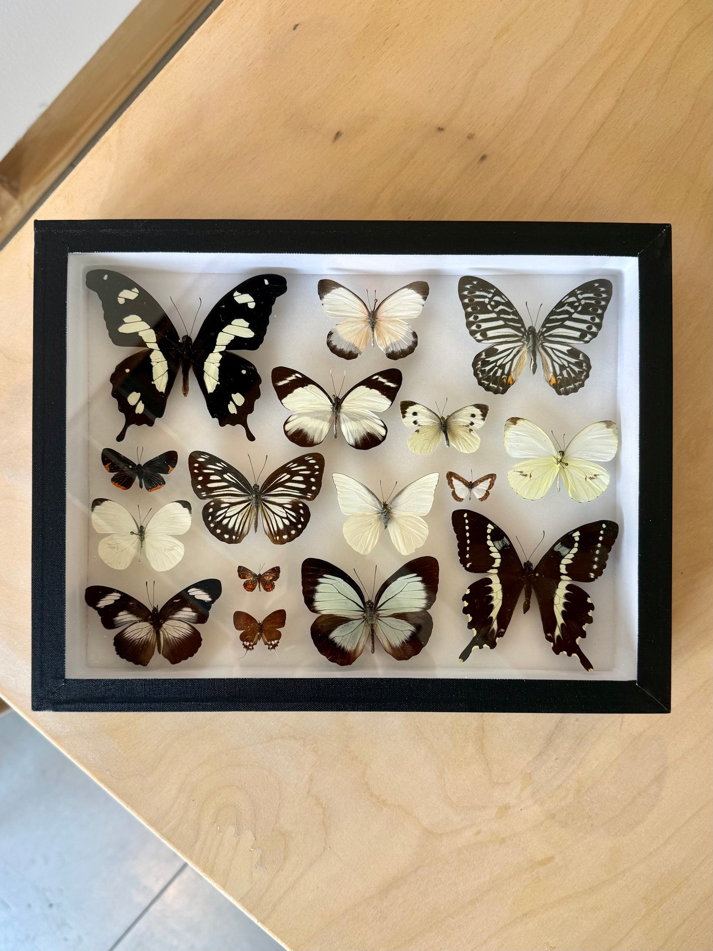 Black Tie Collection Frame