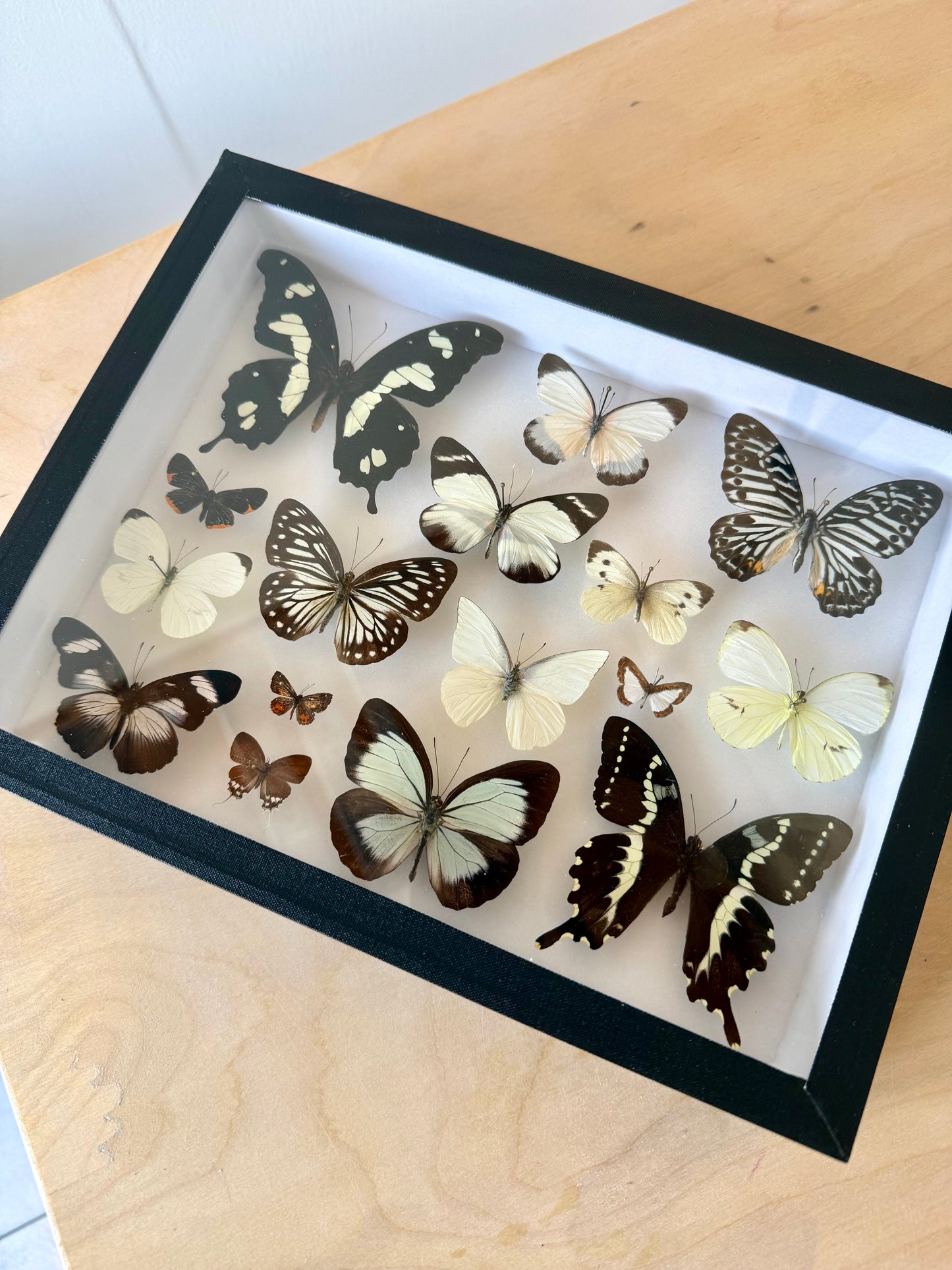 Black Tie Collection Frame