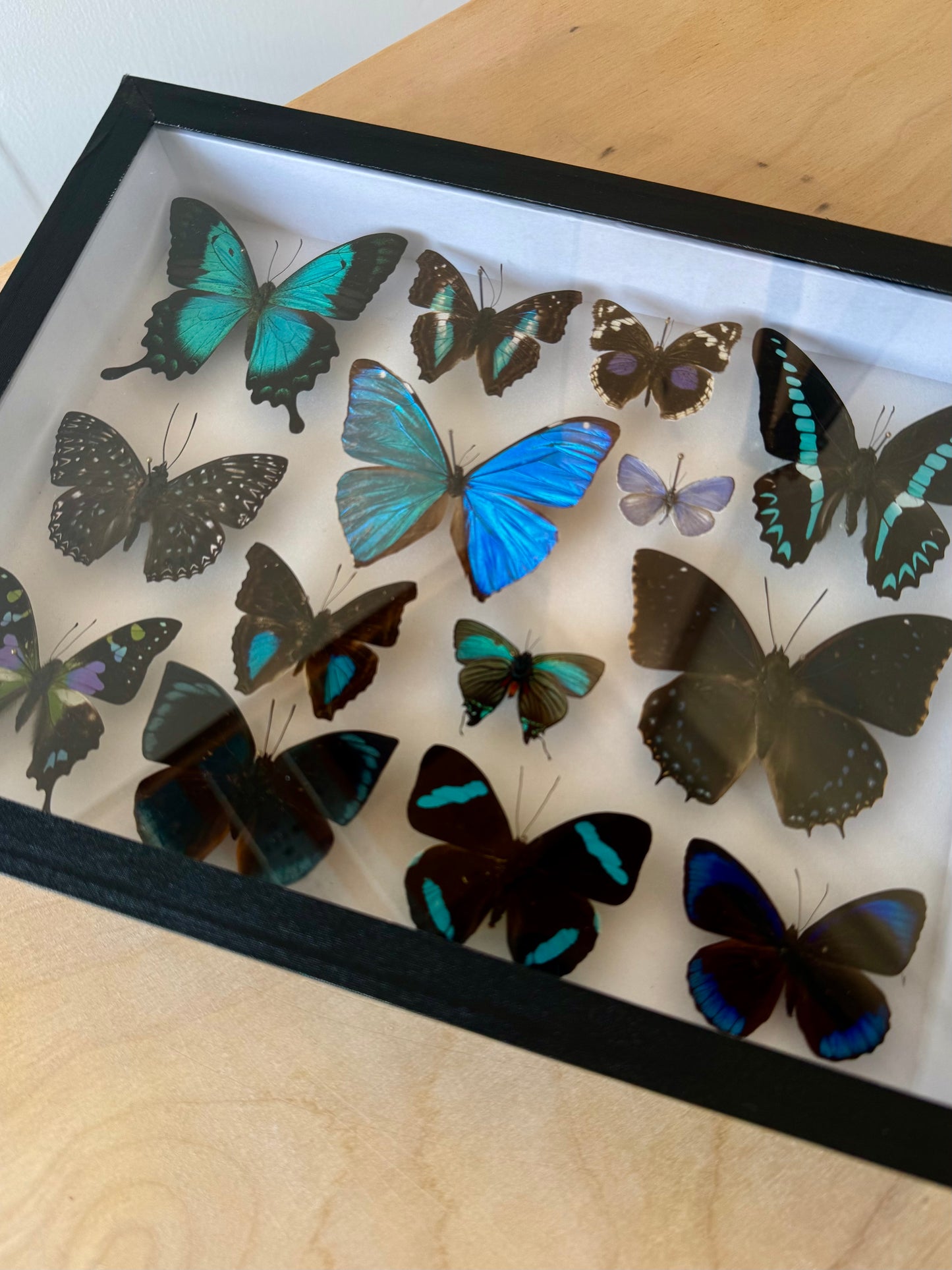 Tropical Lagoon Collection Frame