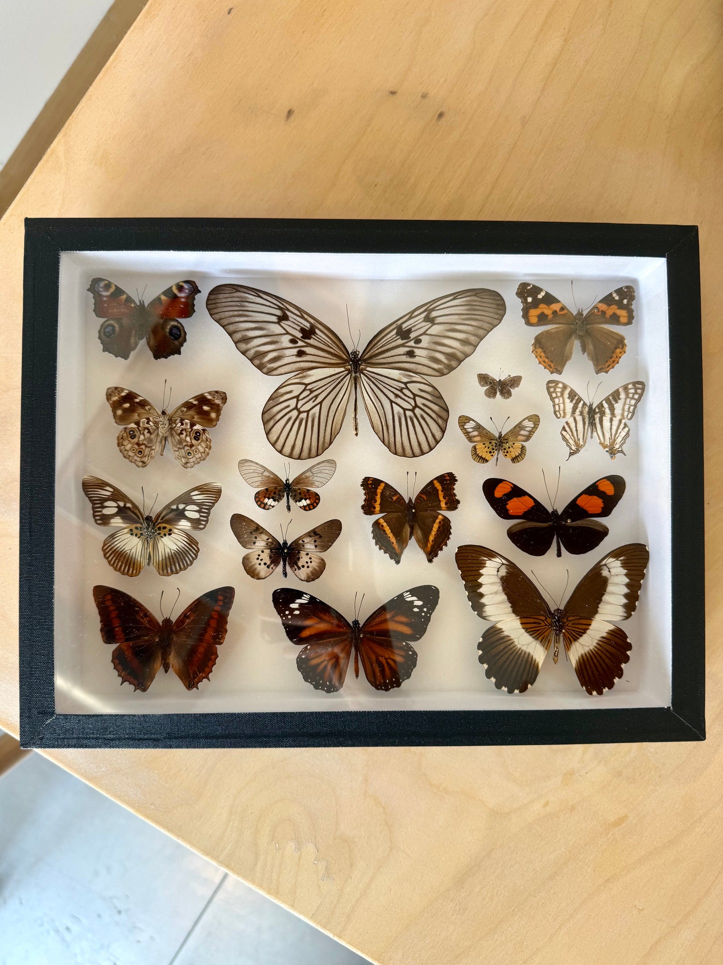 Earth & Ember Collection Frame