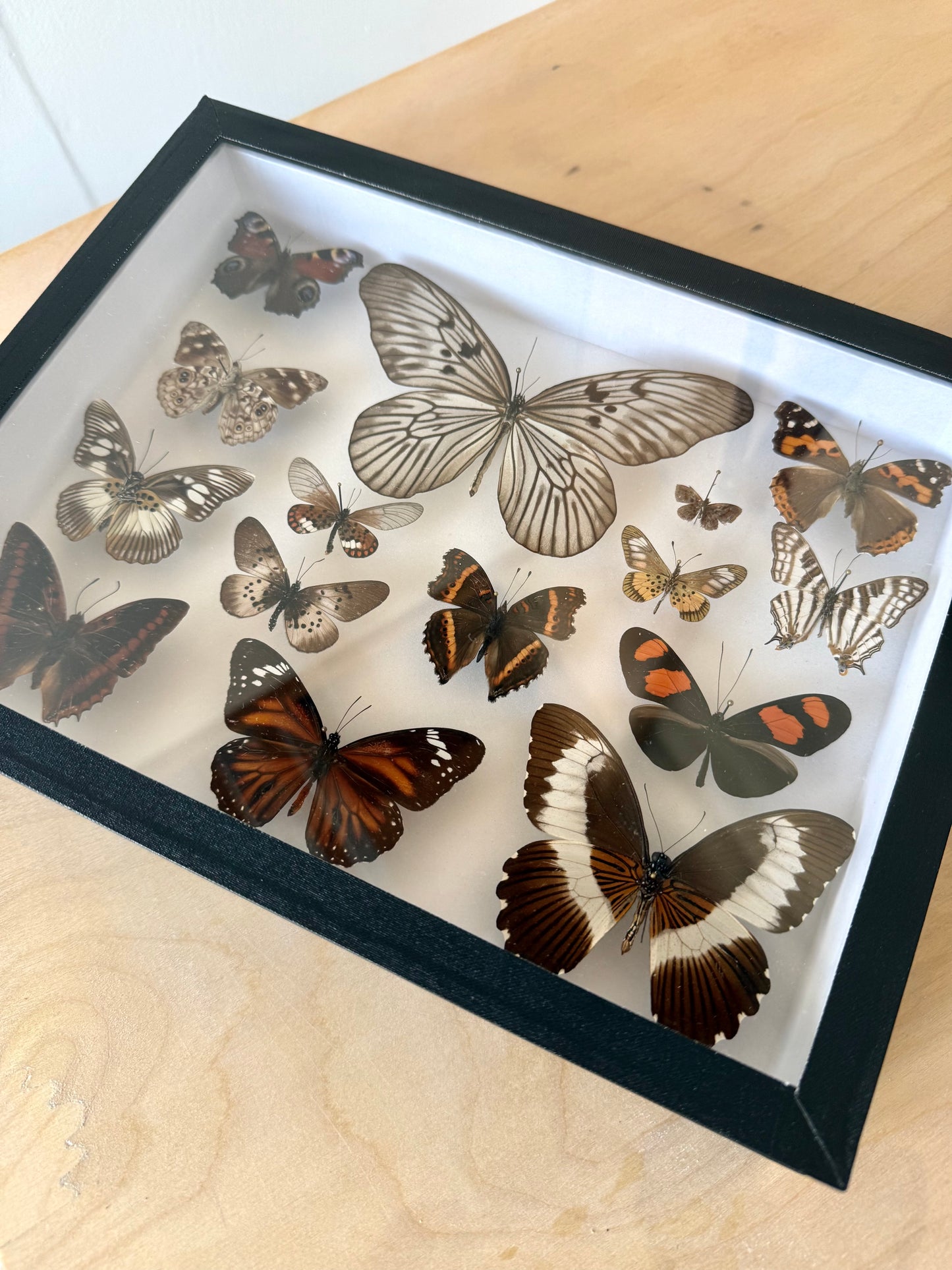 Earth & Ember Collection Frame