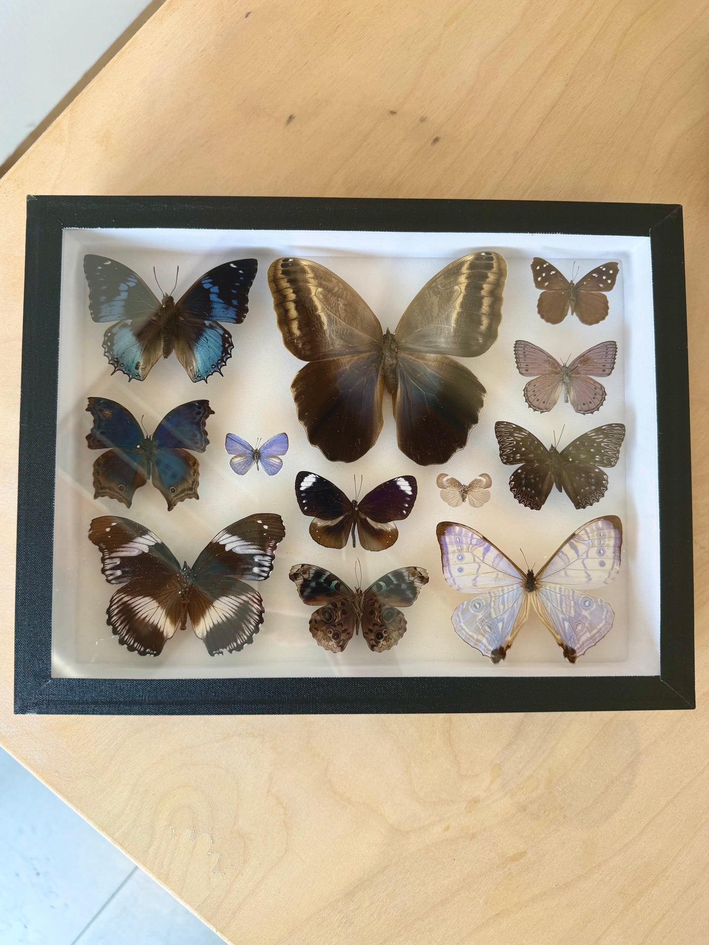 Indigo Reverie Collection Frame