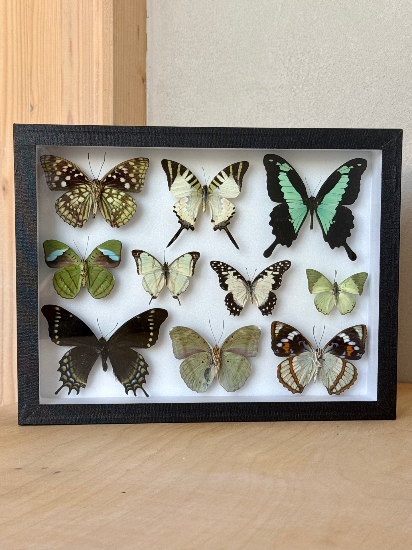 Verdant Dreams Collection Frame