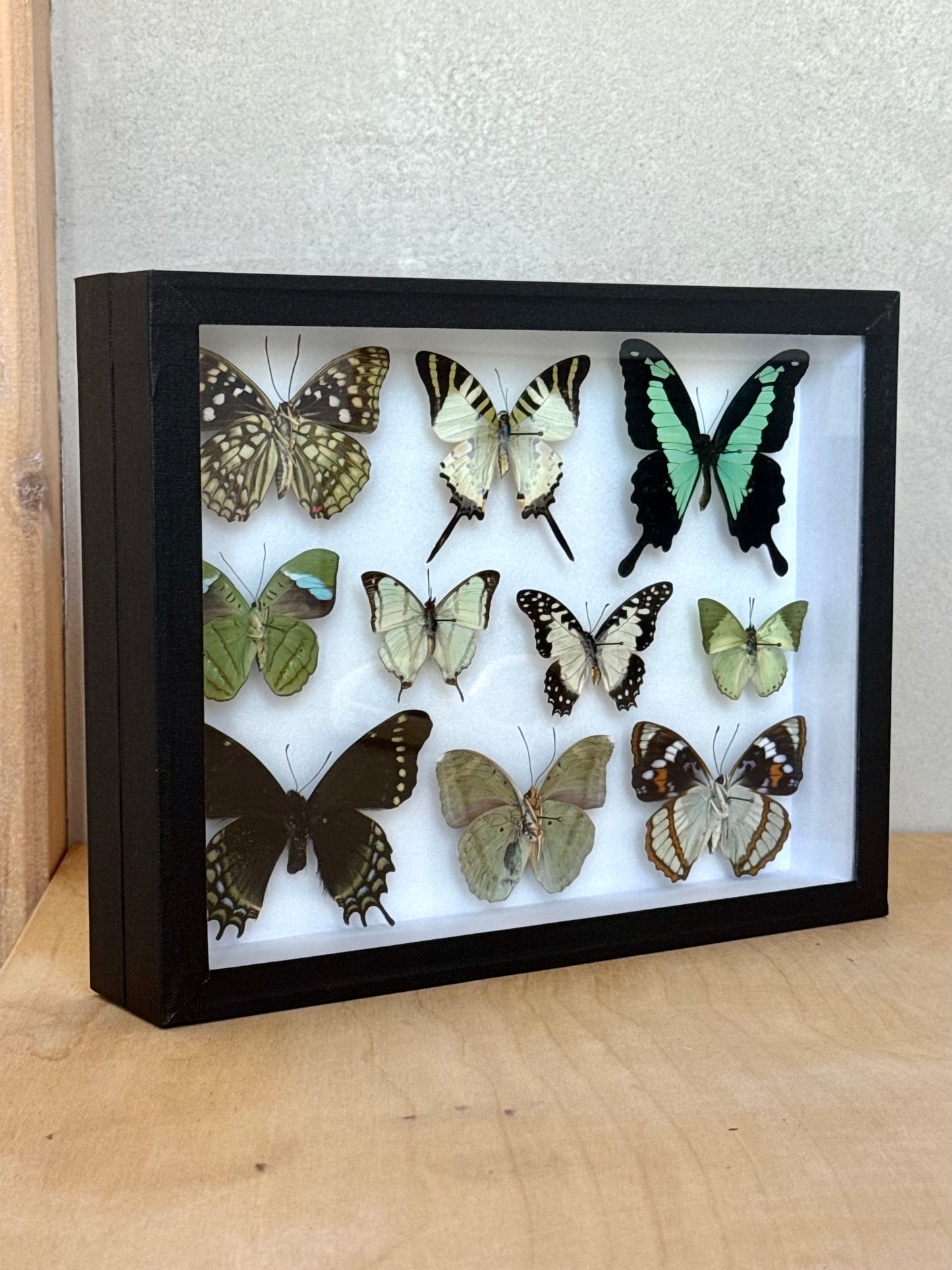 Verdant Dreams Collection Frame