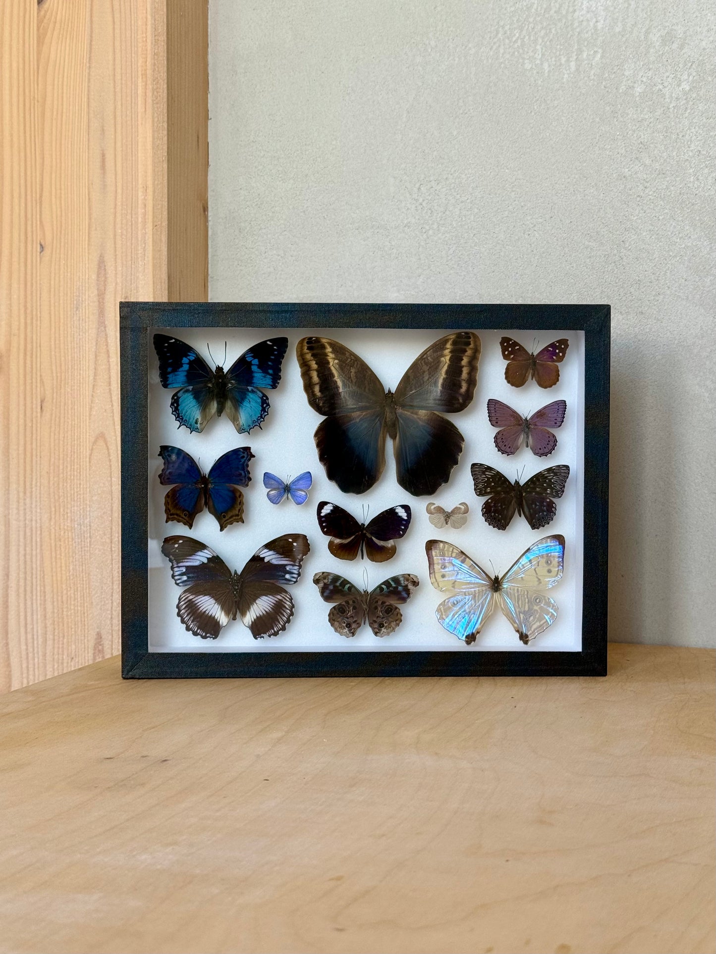 Indigo Reverie Collection Frame